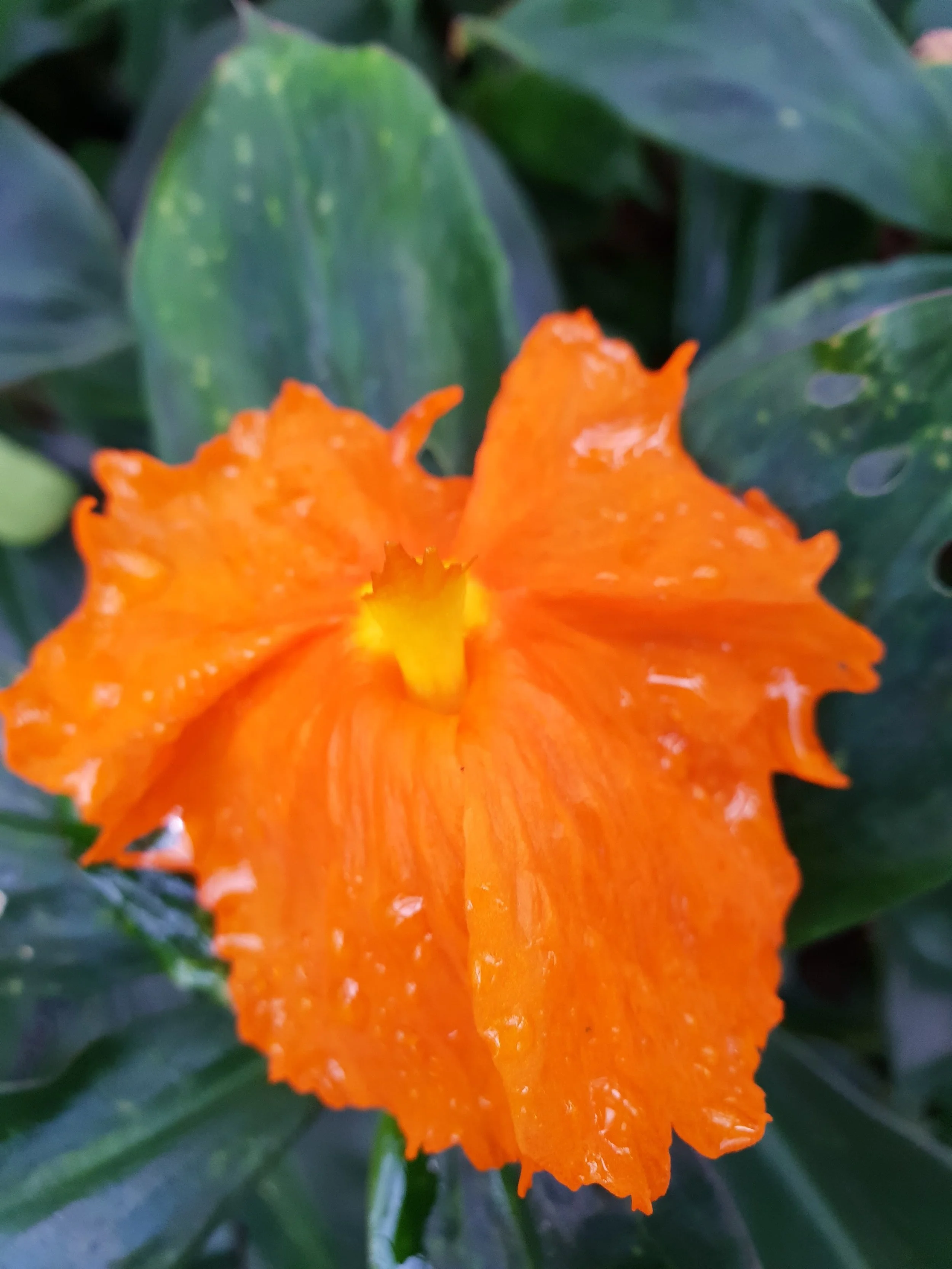 20180309_153721.jpg