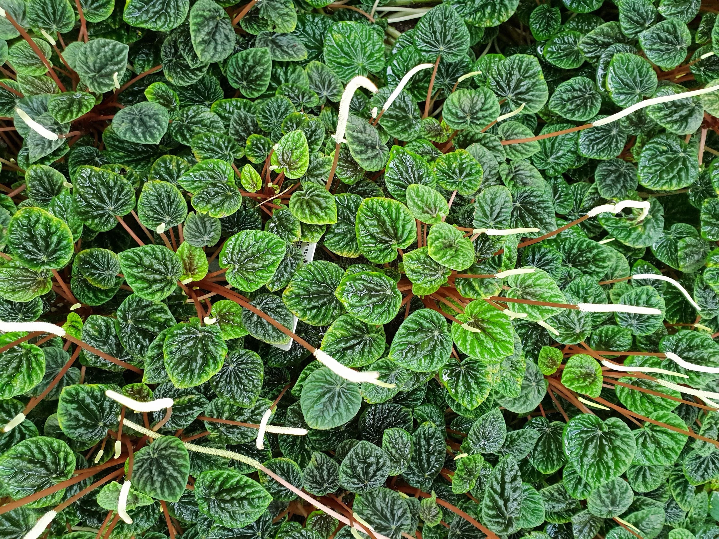 20180309_153746.jpg