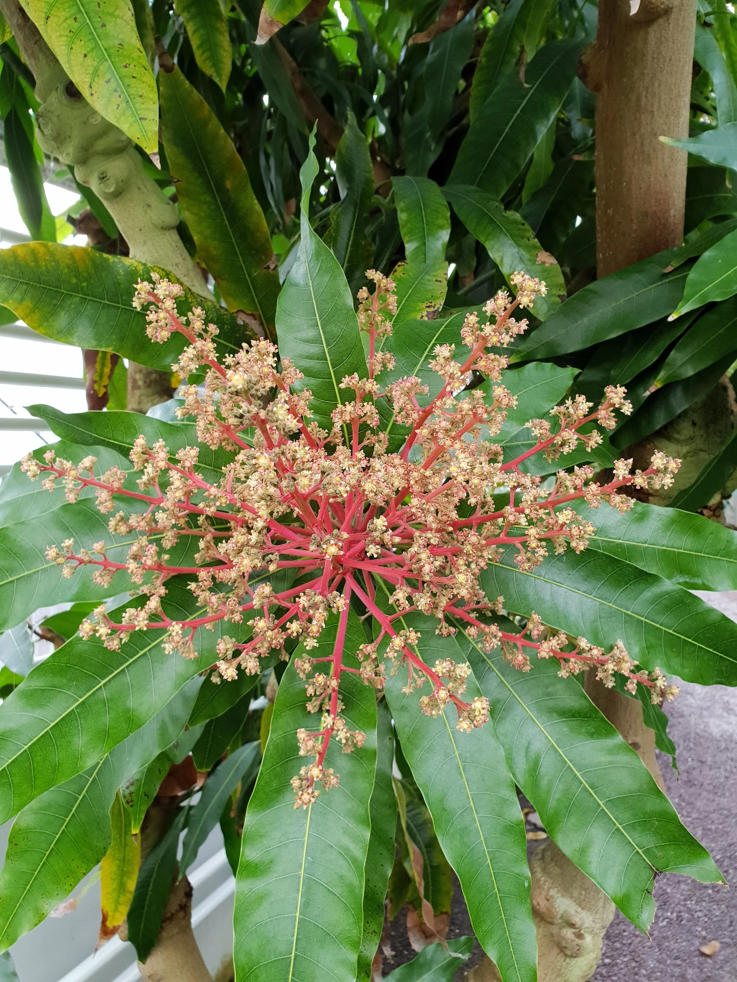 20180309_153940.jpg