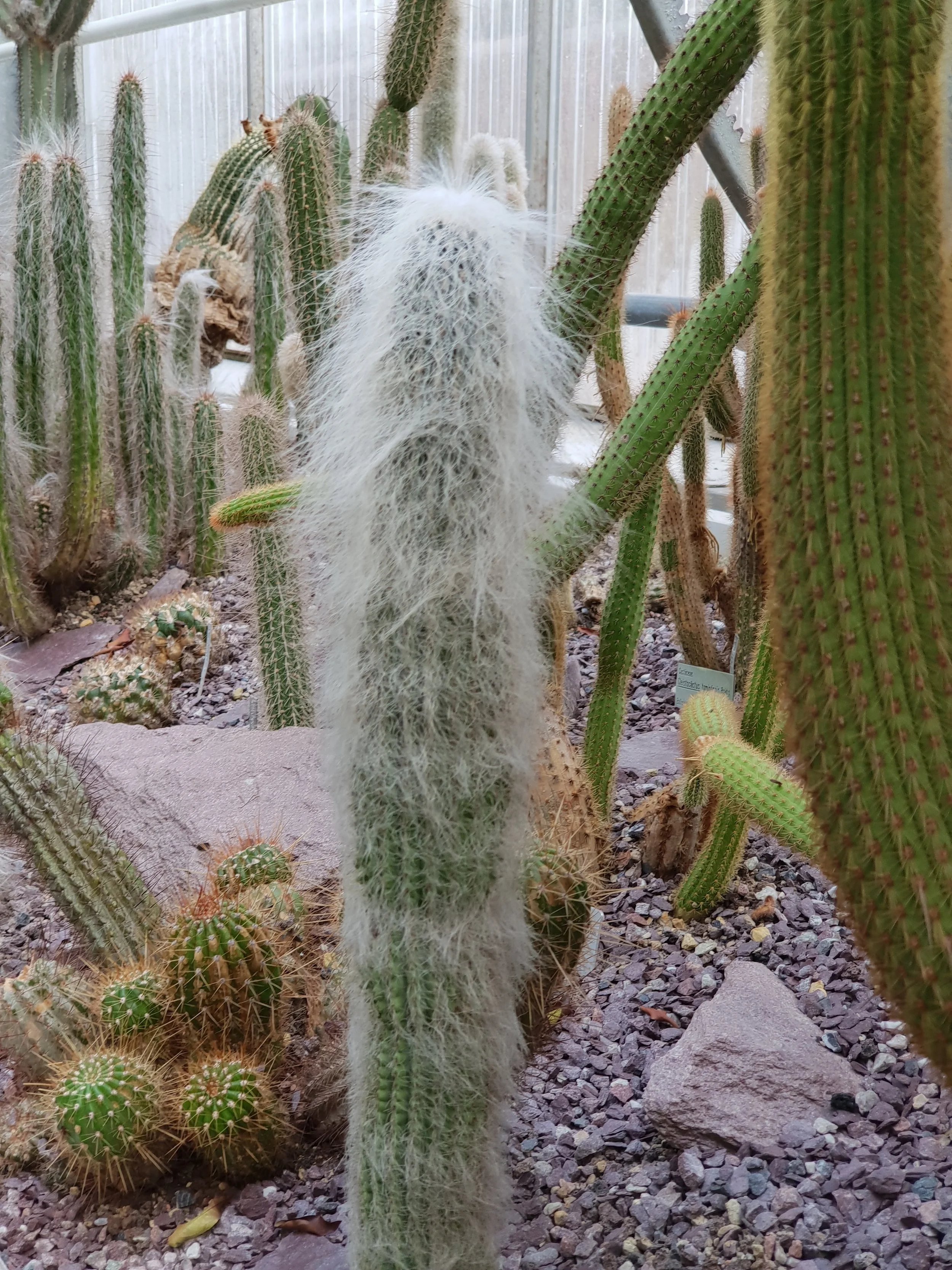 20180309_162333.jpg