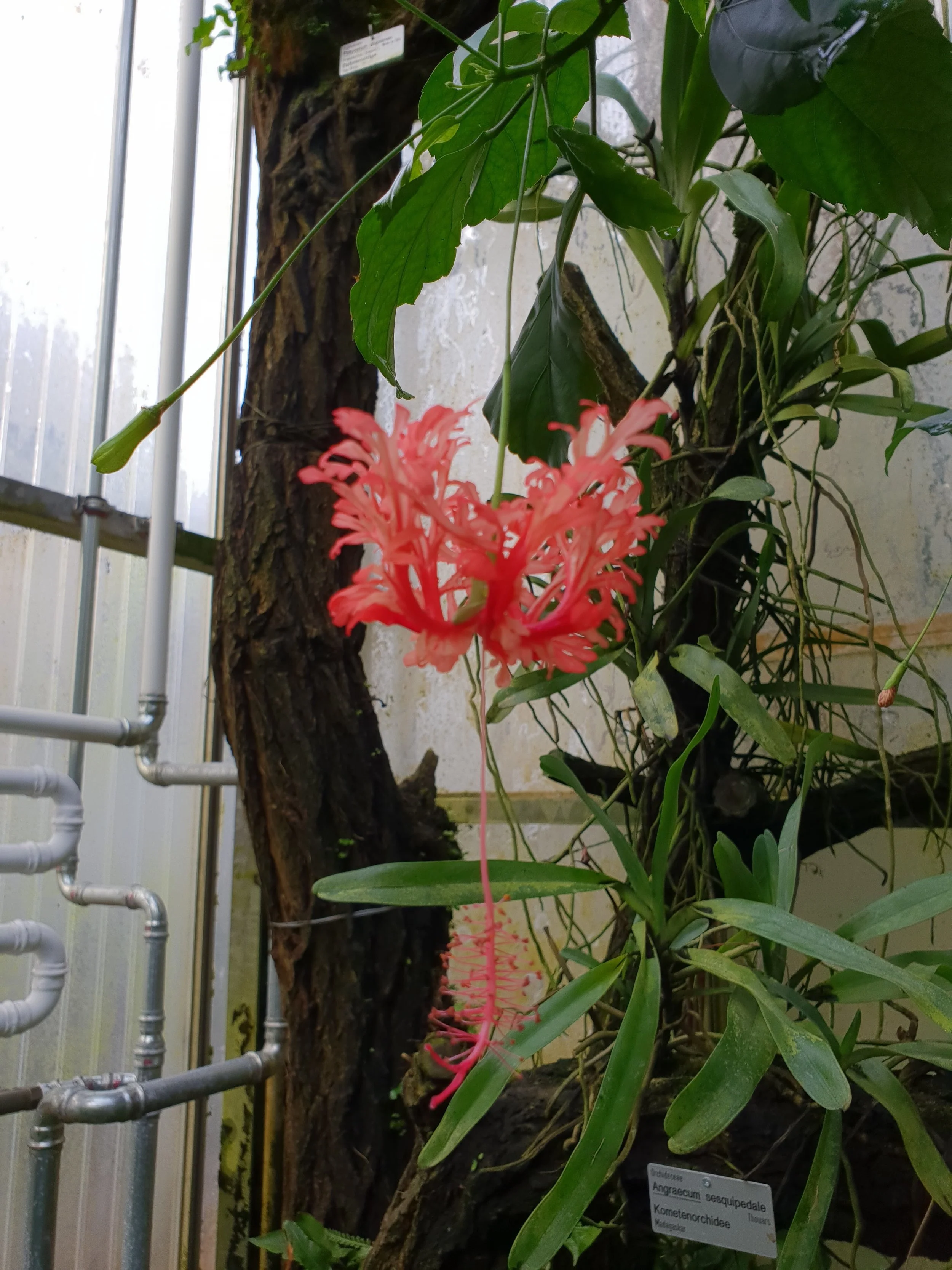 20180309_163138.jpg
