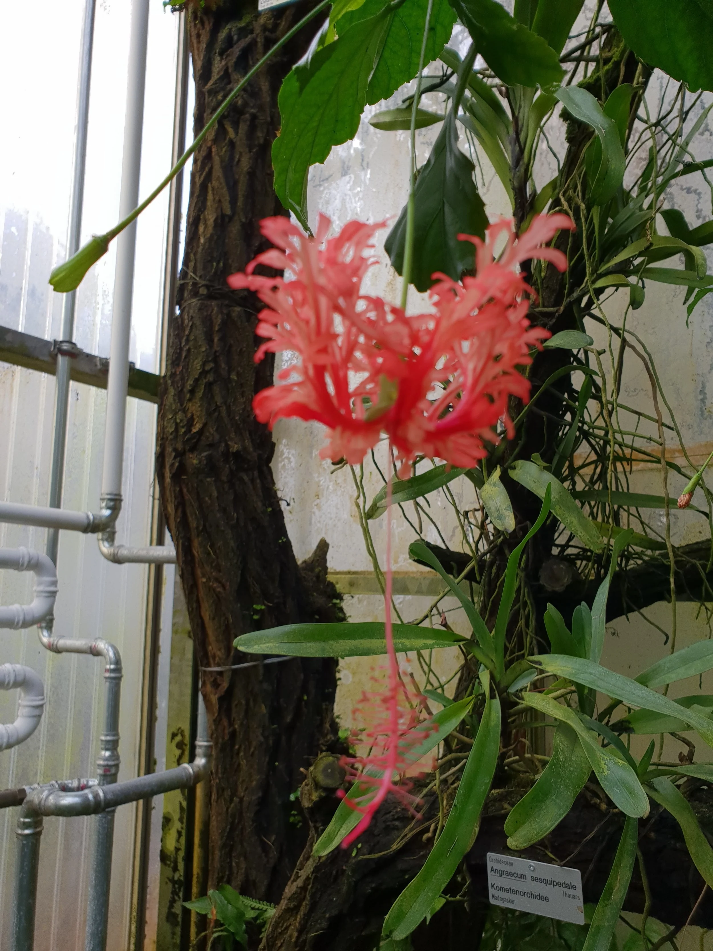 20180309_163134.jpg
