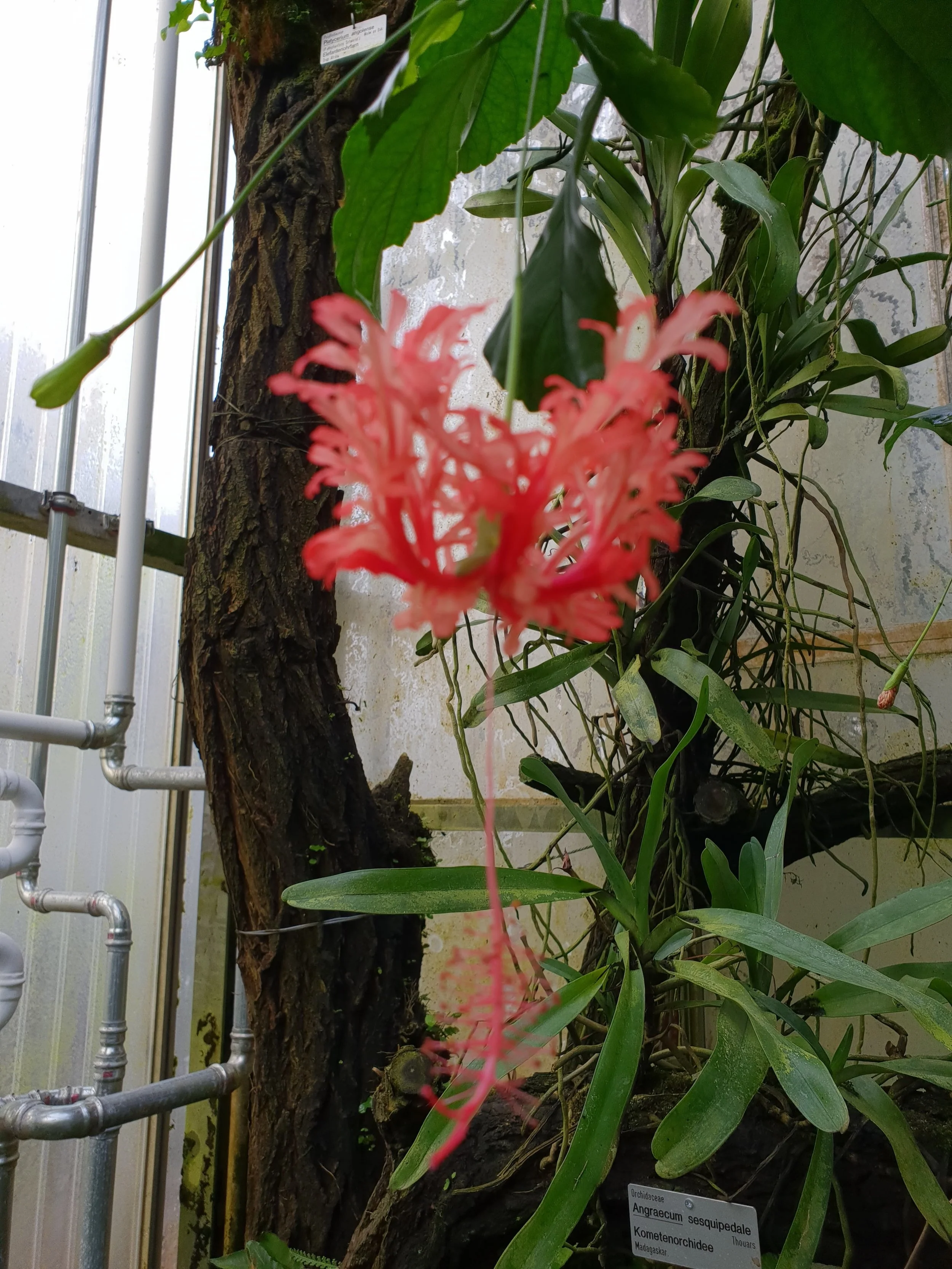 20180309_163146.jpg