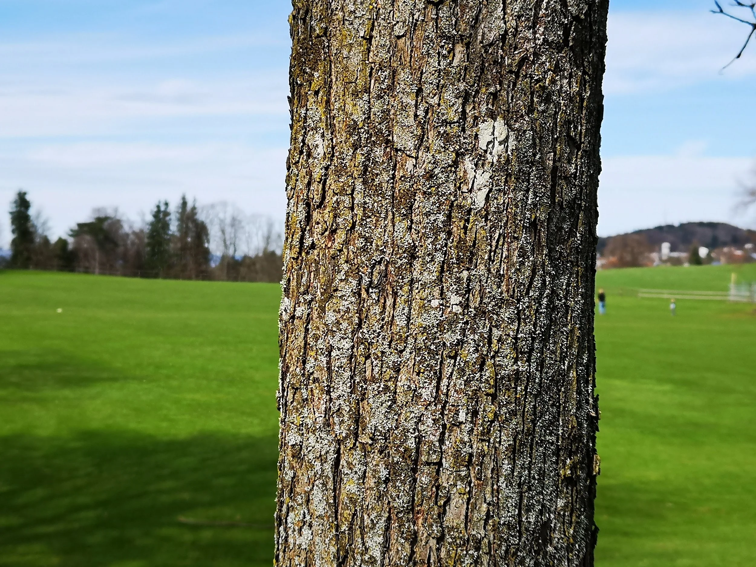 Huawei P20 Pro: 2x / F 1.8