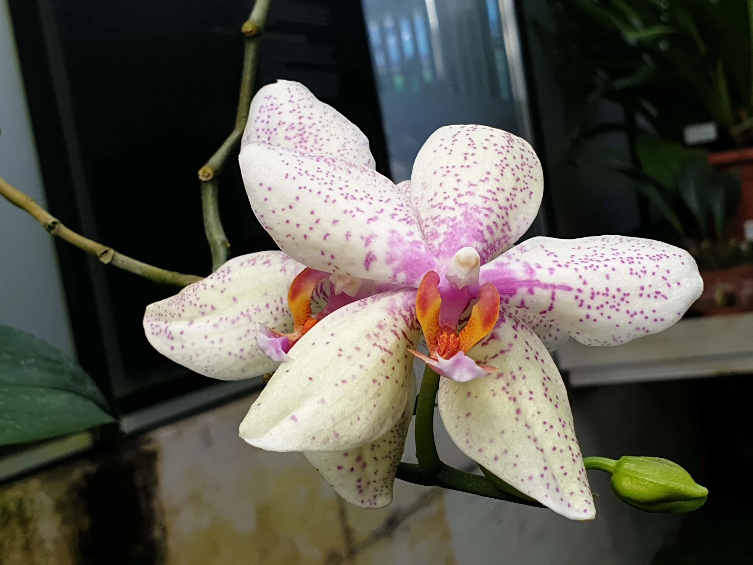 20180819_161423.jpg
