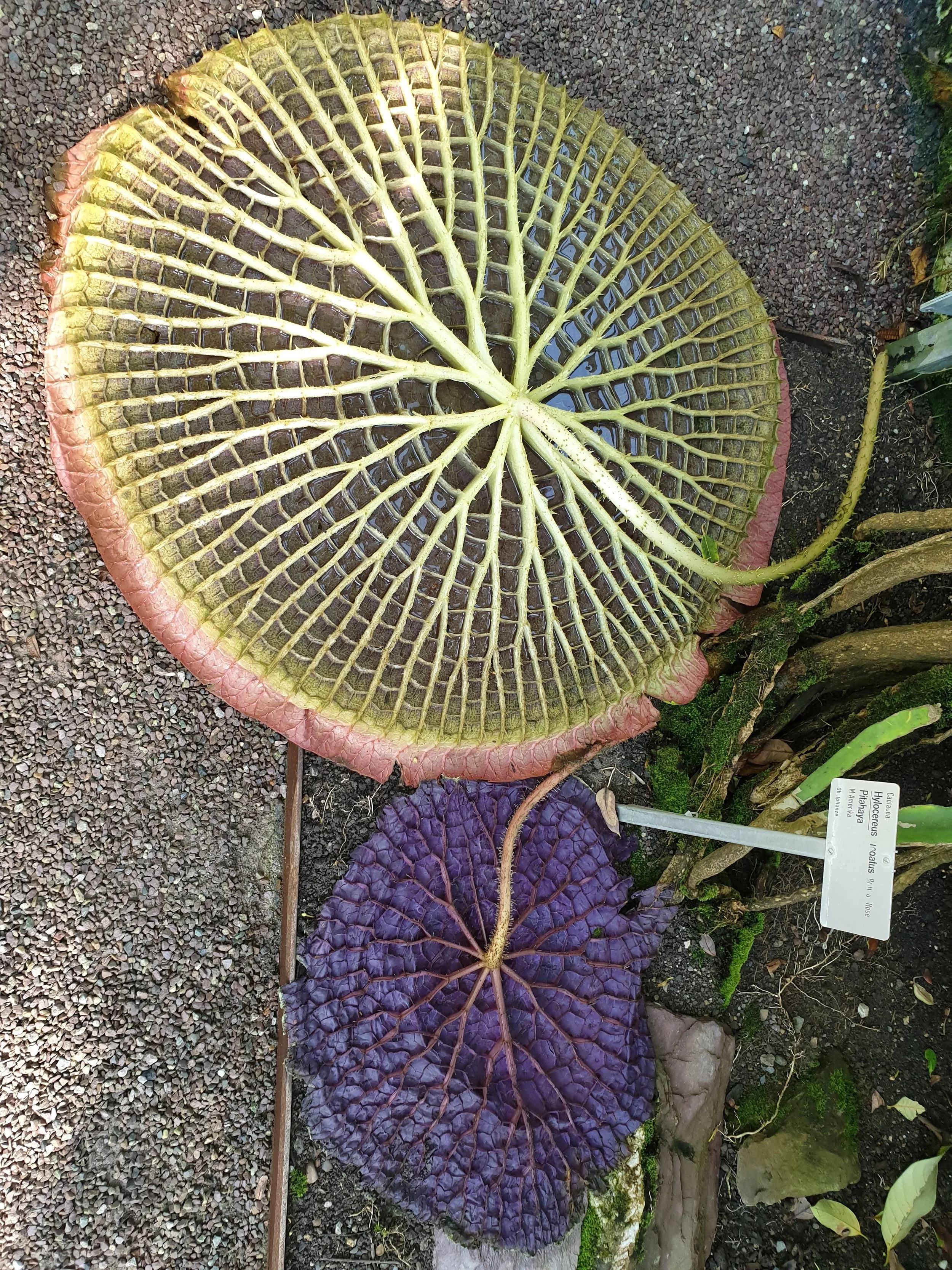 20180819_162205.jpg