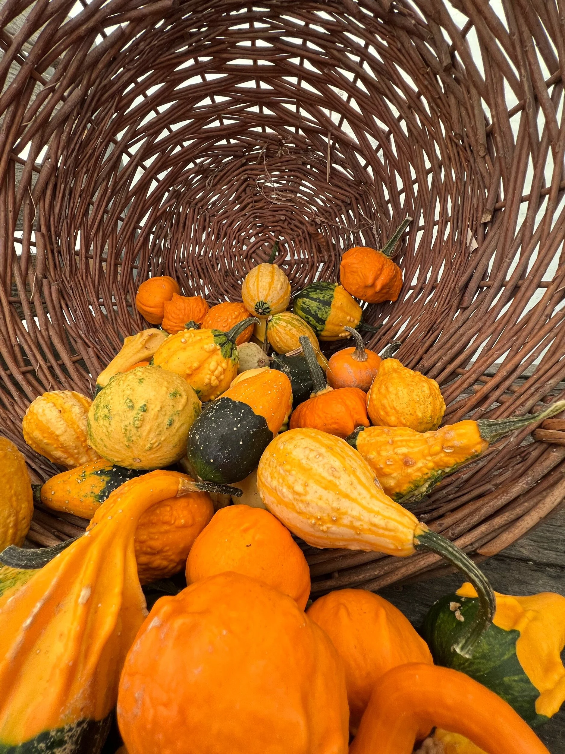 Pumpkins and the iPhone 13 Pro Max