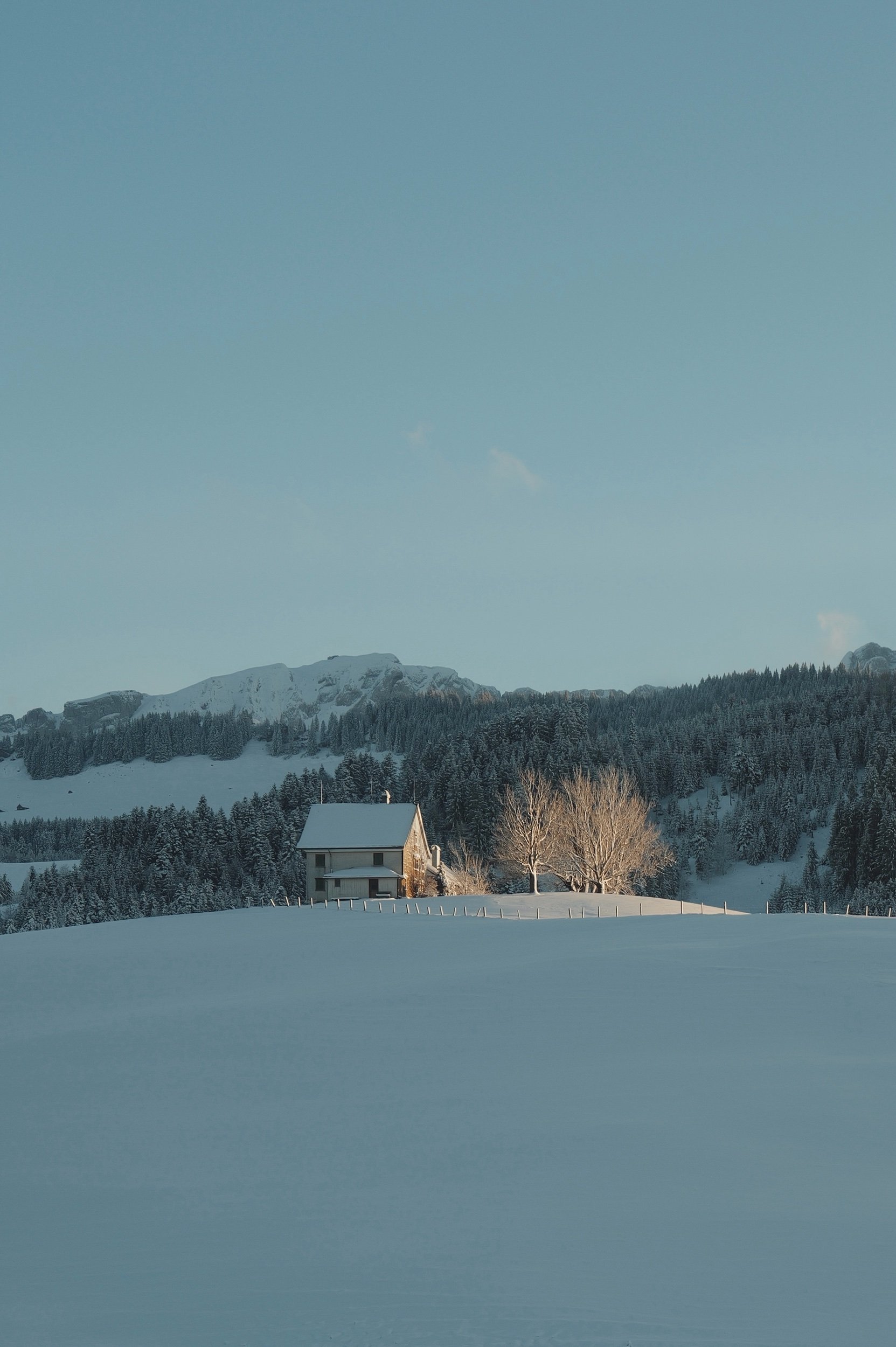 Appenzell through a Train Window