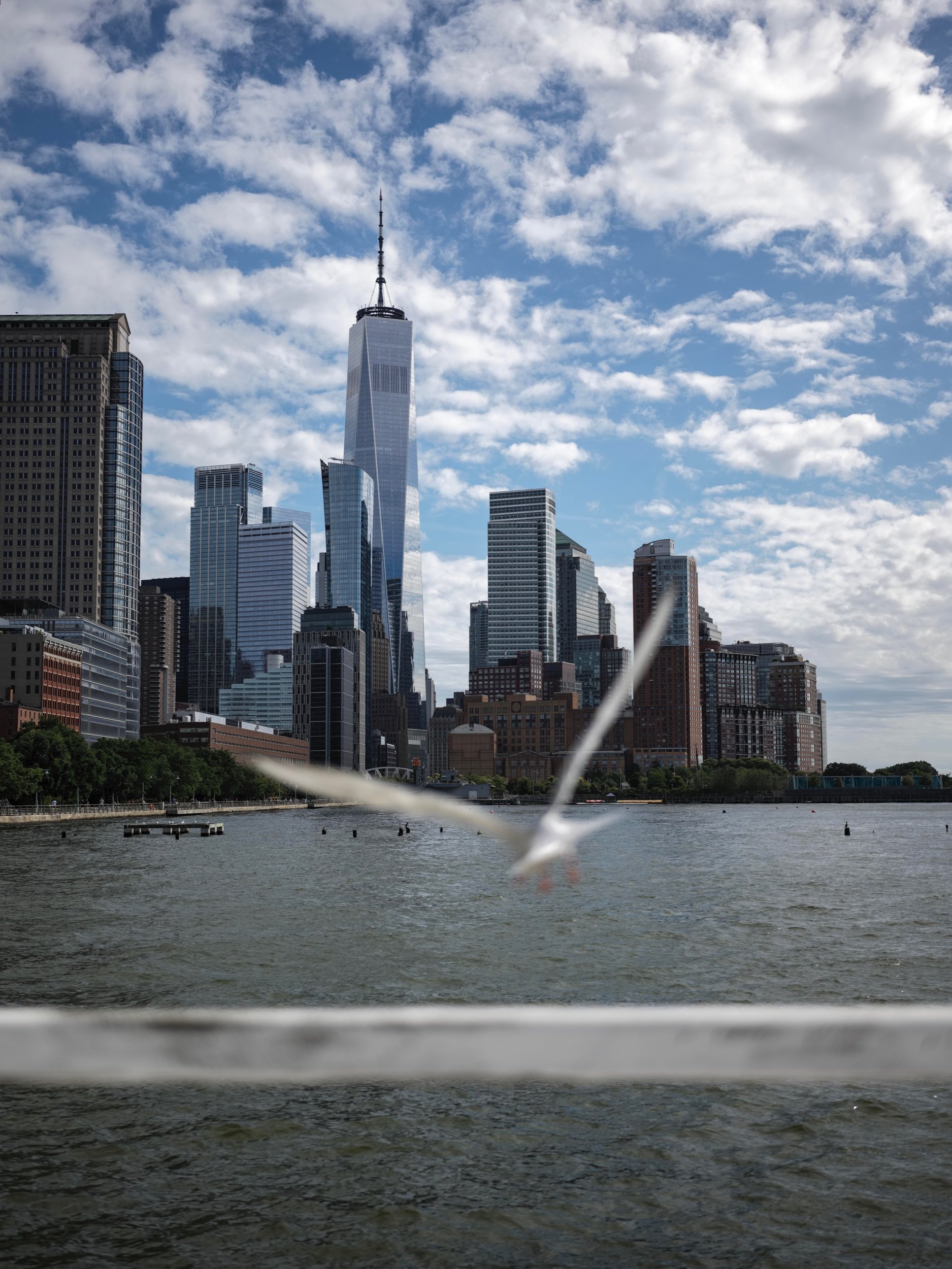 NY