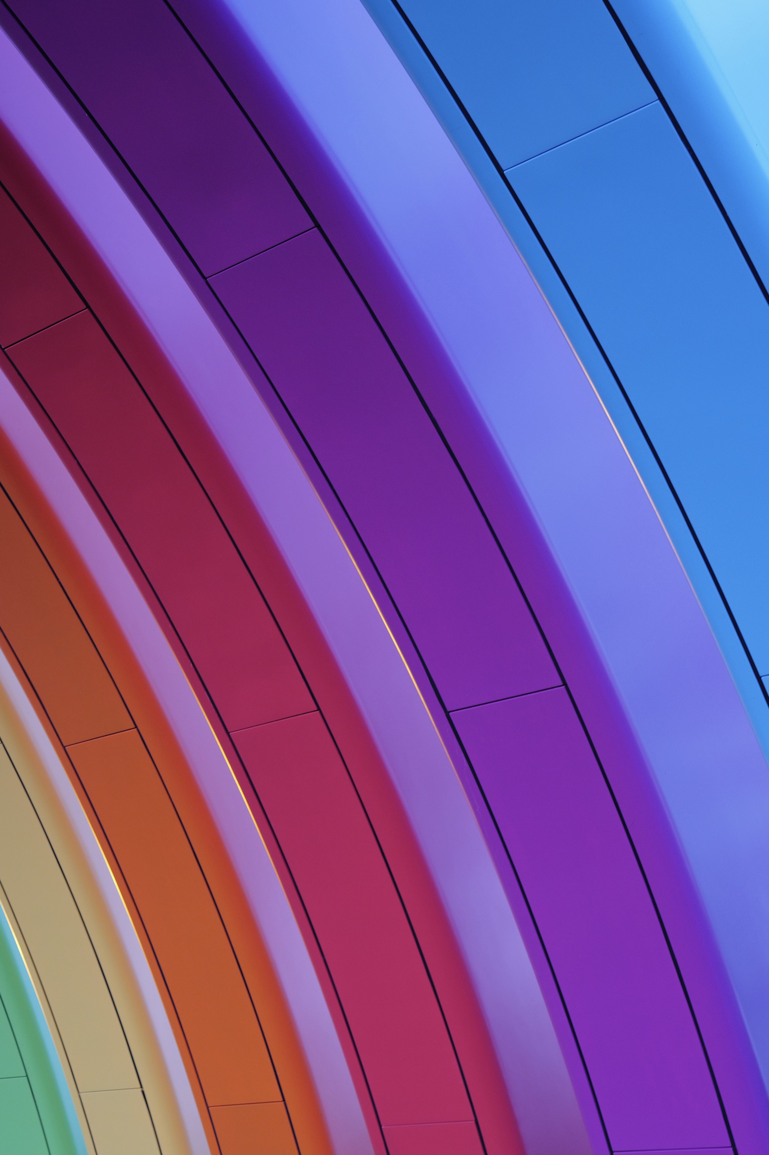 Rainbow & Rave