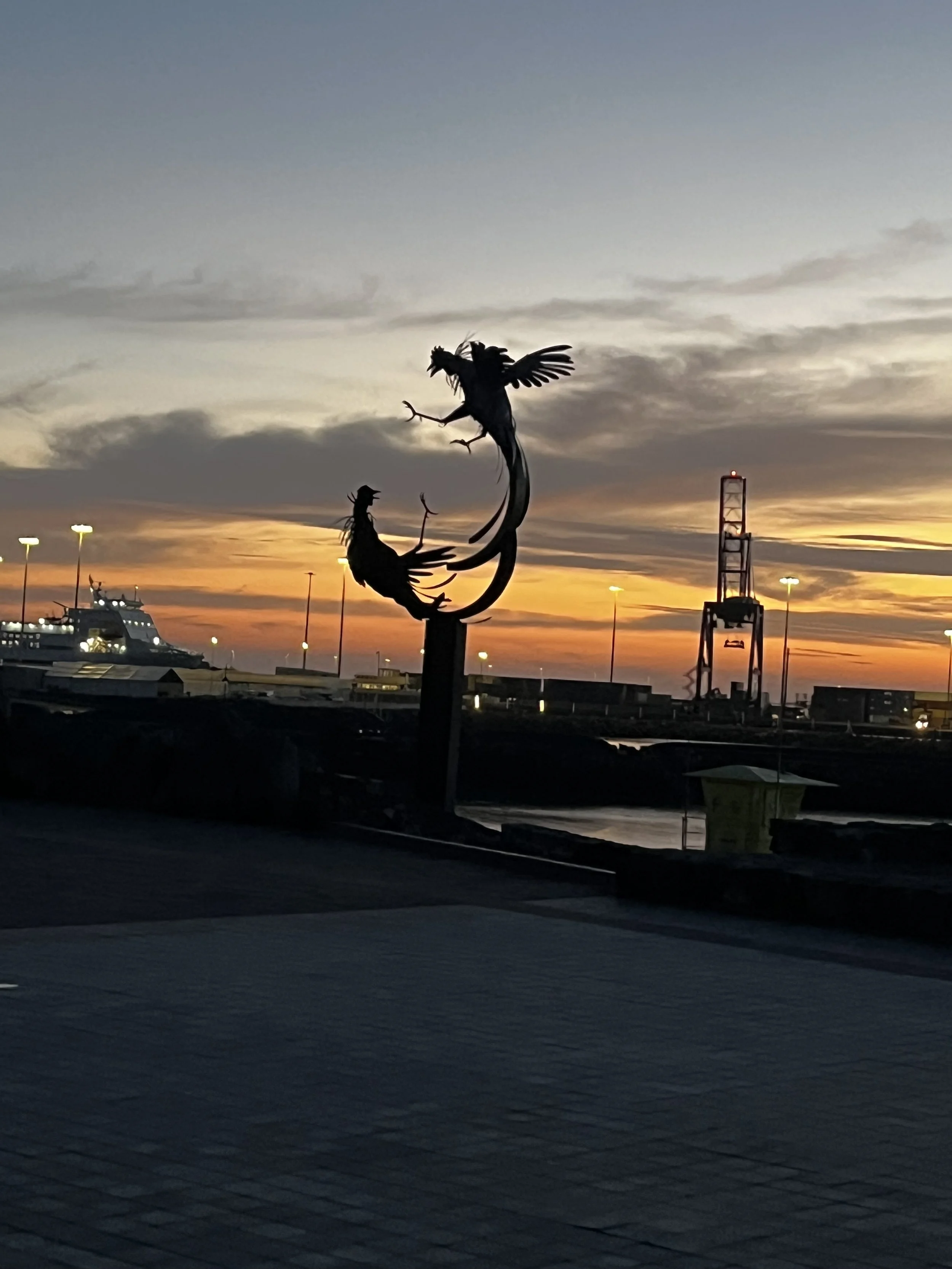  Amanecen nuevas oportunidades 