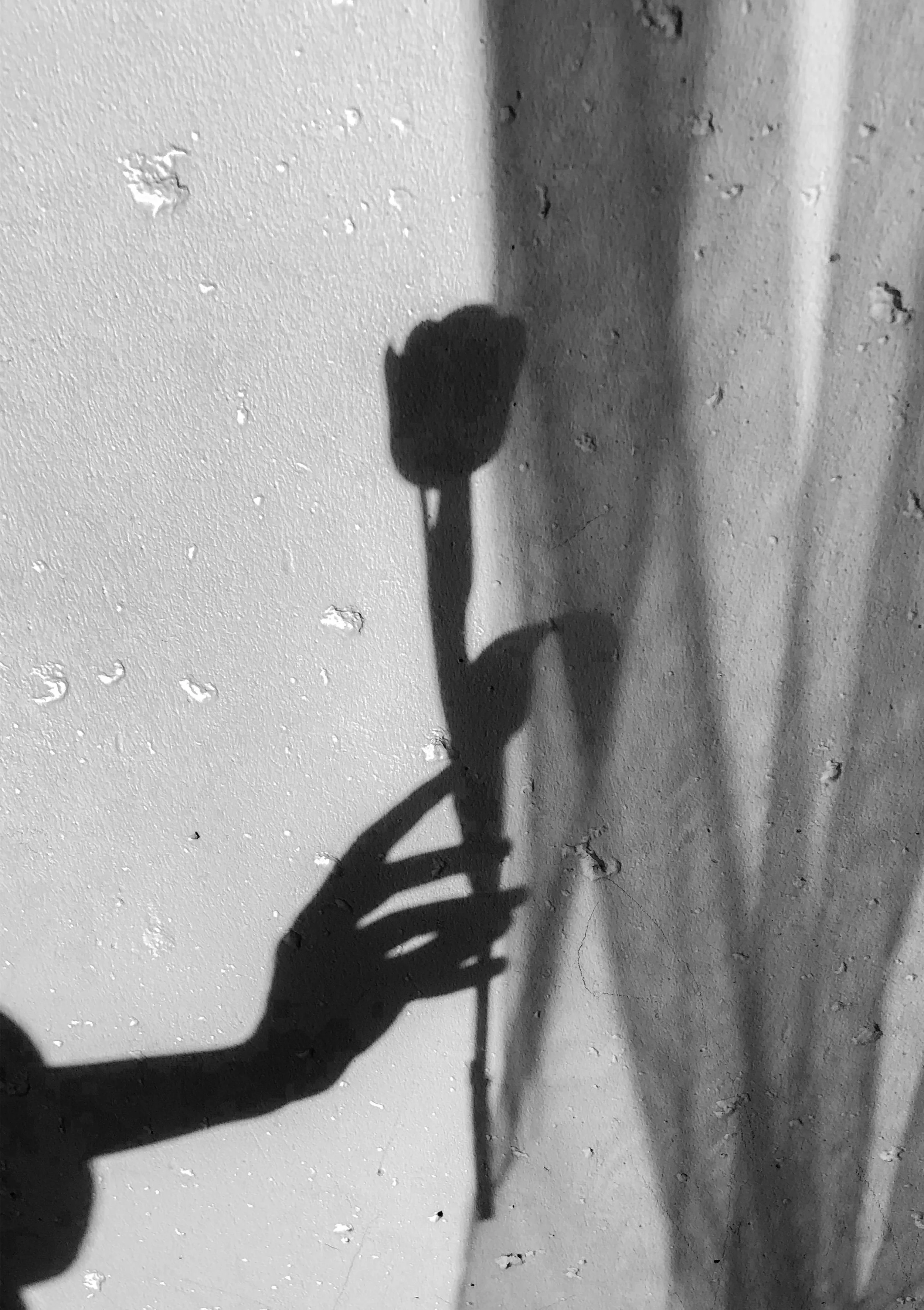 Amar sin permiso