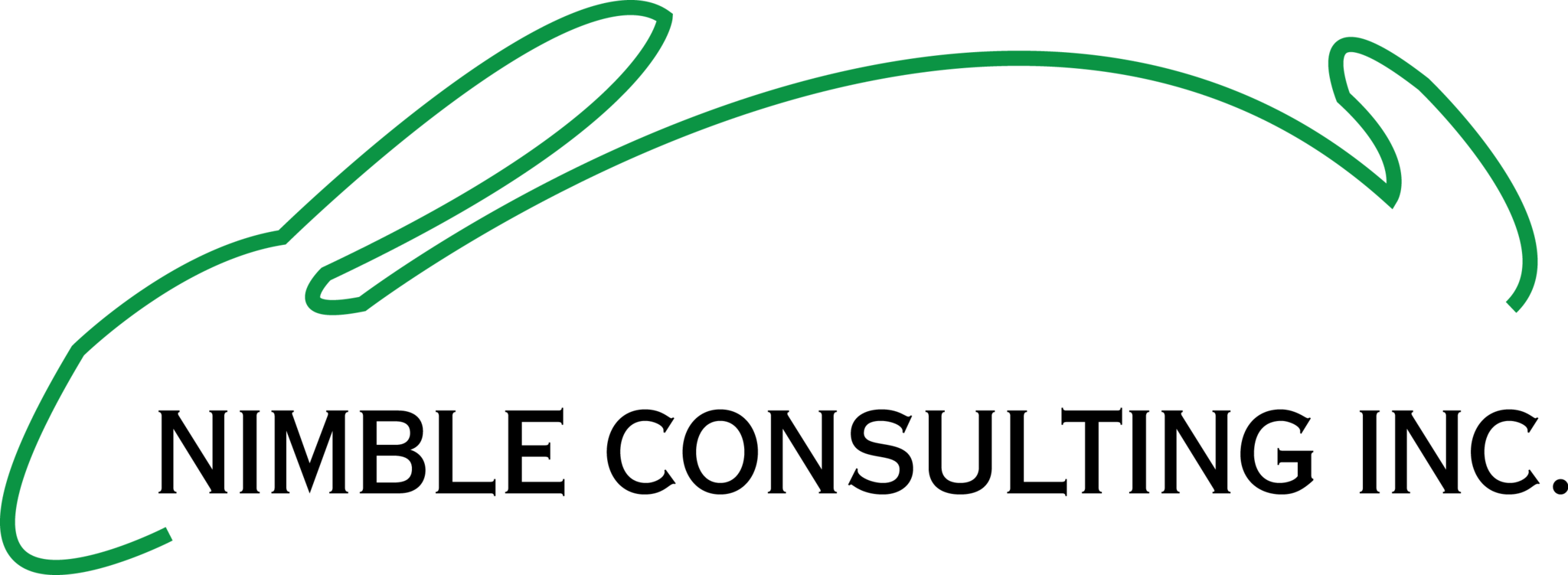 Nimble Consulting