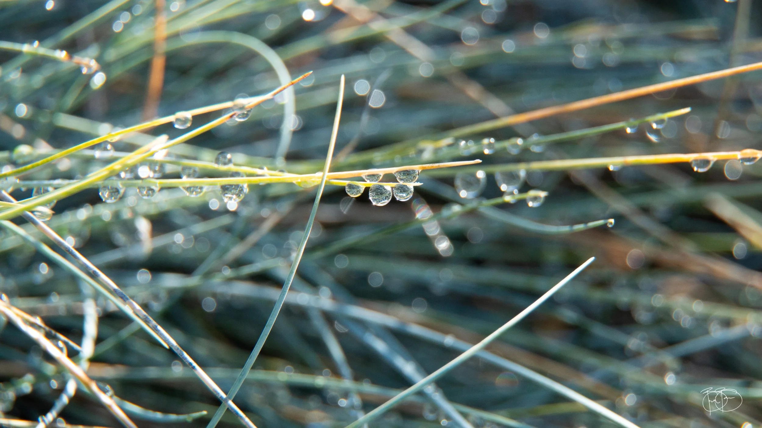 110224 Roundabout droplets_1.jpg