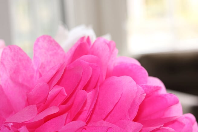 RTR bright pink tissue flower.JPG