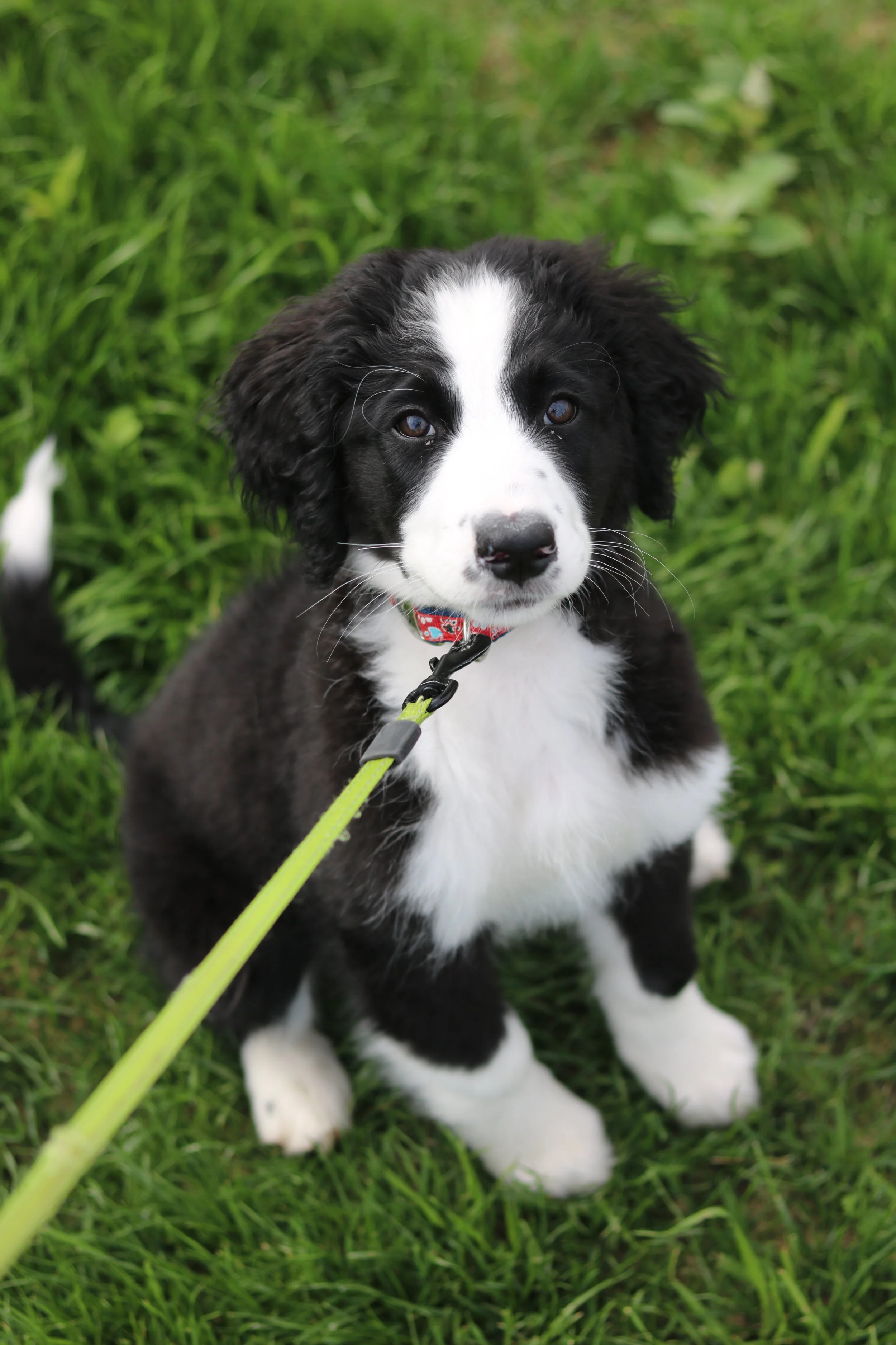 Baby Luna.JPG
