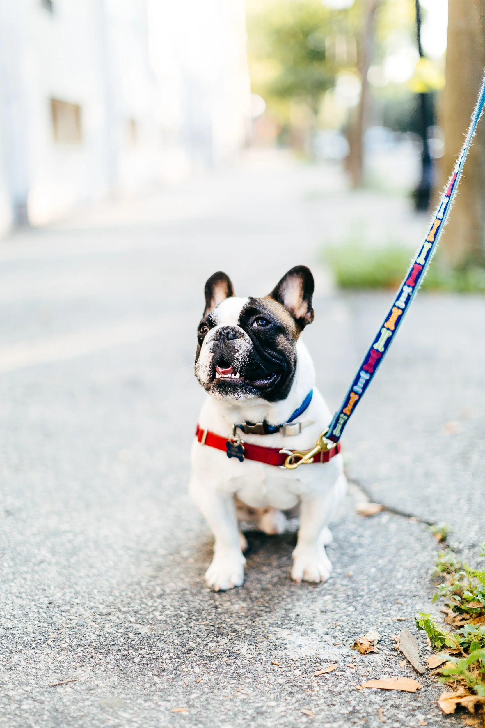 investment advisor in Cambridge, Massachusetts