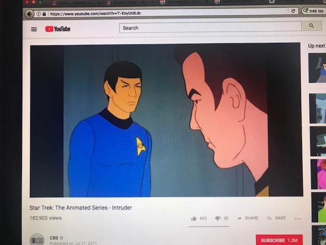 SABMG STAR TREK 4.jpg