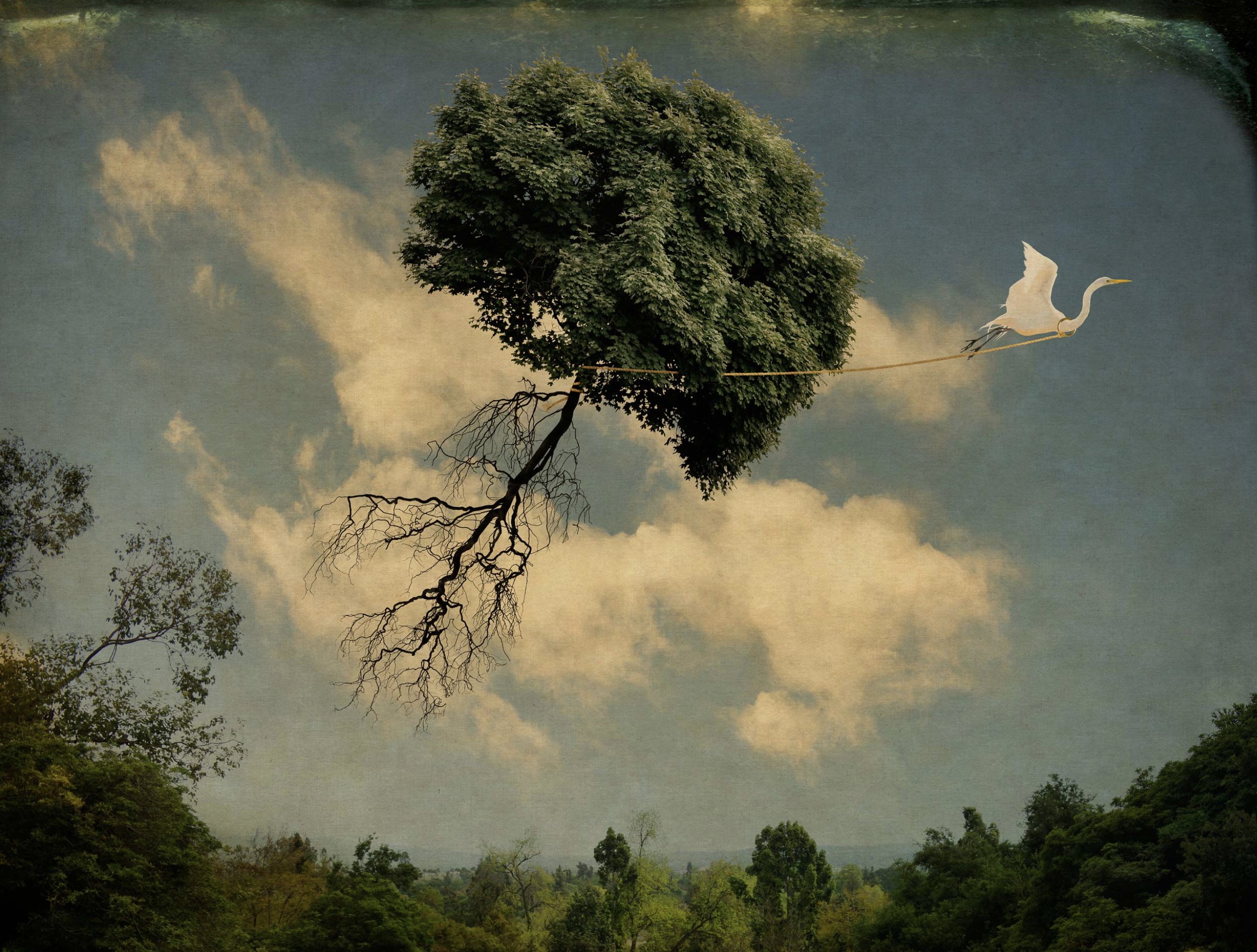 May 18-24: Joshua 1-8; 23-24