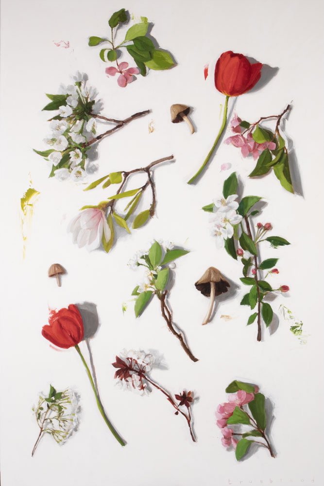 May 25-31: Judges 2-4; 6-8; 13-16 