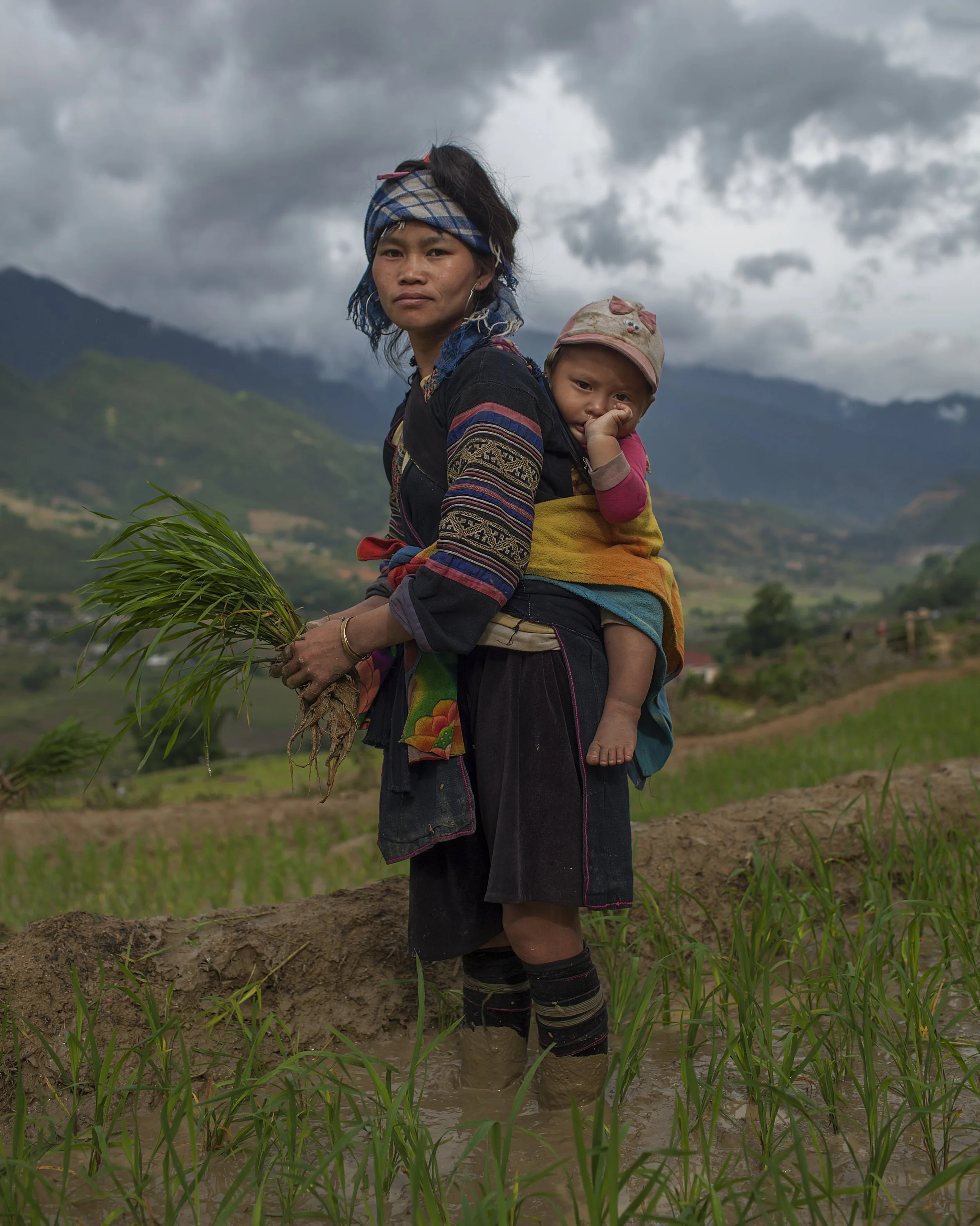 A Hmong mother and her child work in rice plantations in the mountains of northern Vietnam, September 2011