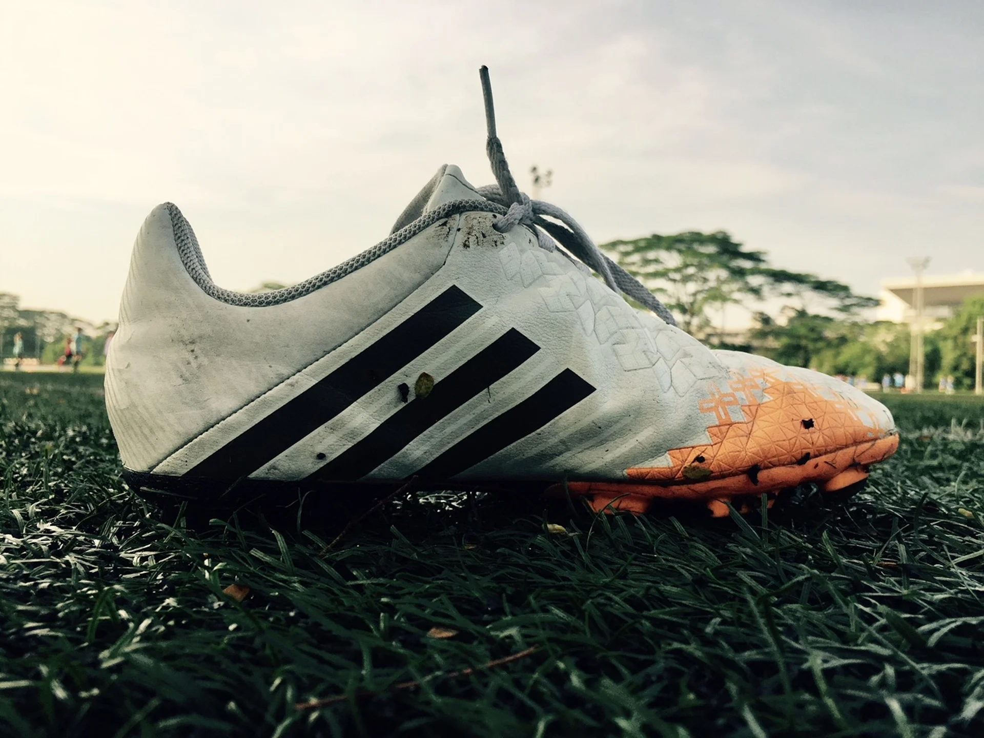 soccer-2394121_1920.jpg