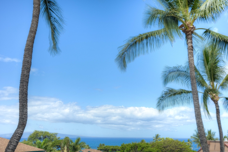 Maui-Vista-2408-maui-roost-condos-for-rent-5.jpg