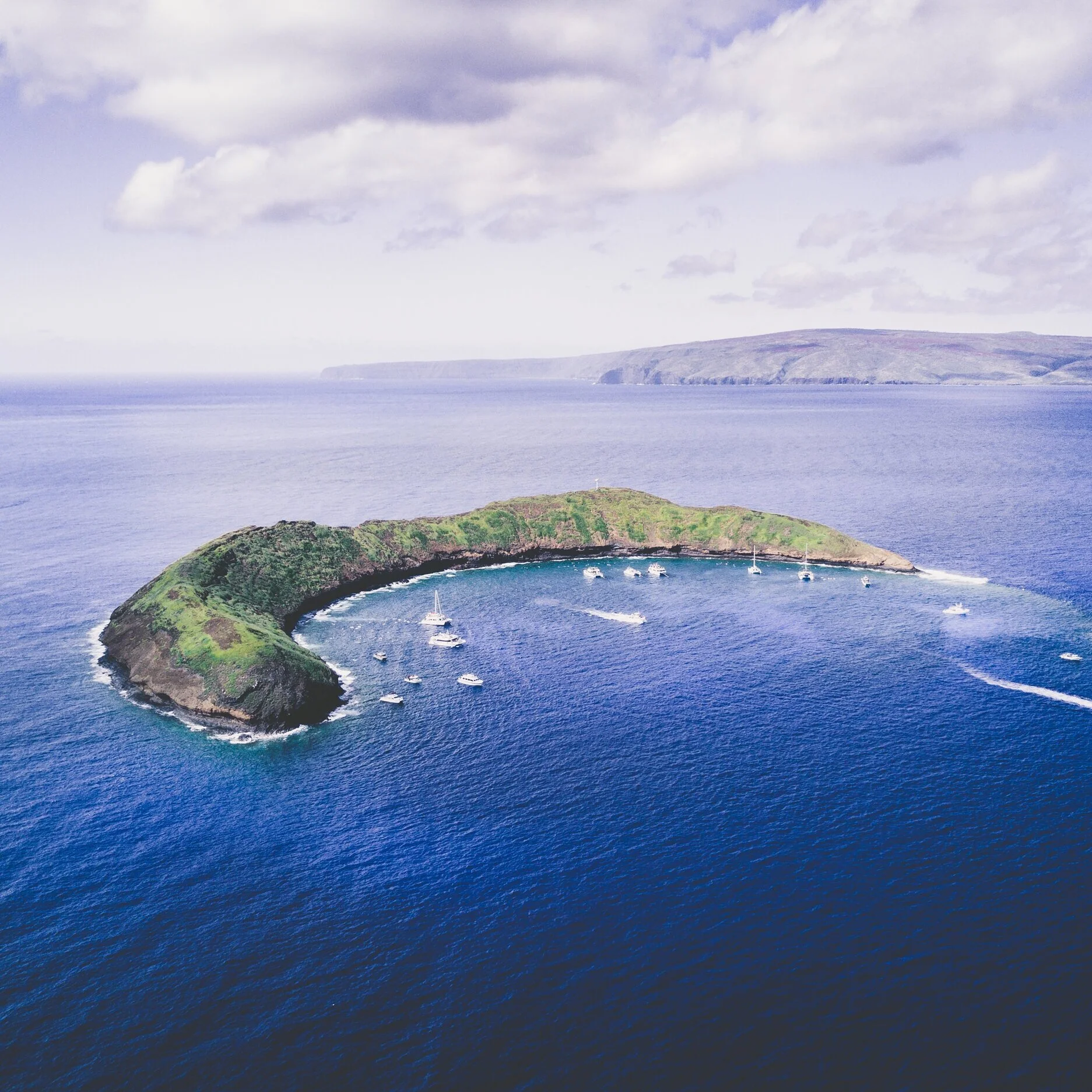 Owner at Kamaole Nalu