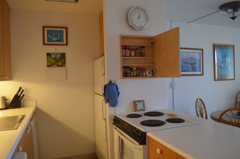 MV 3312 Kitchen with spice cupboard open (118) Peg WEB.jpg