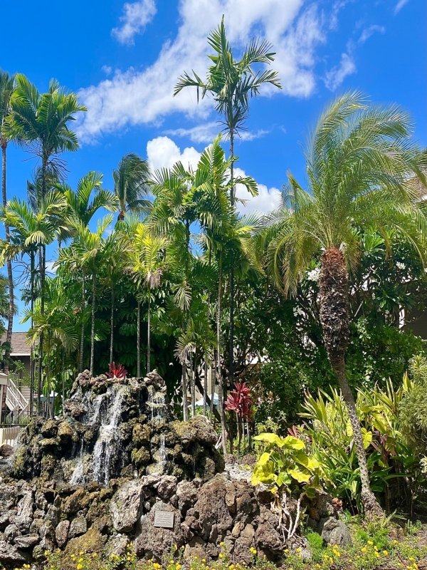 Entrance waterfall.jpg