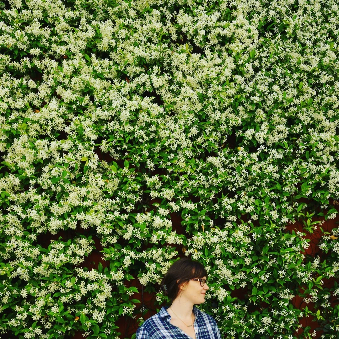 lisbon flowers.jpg