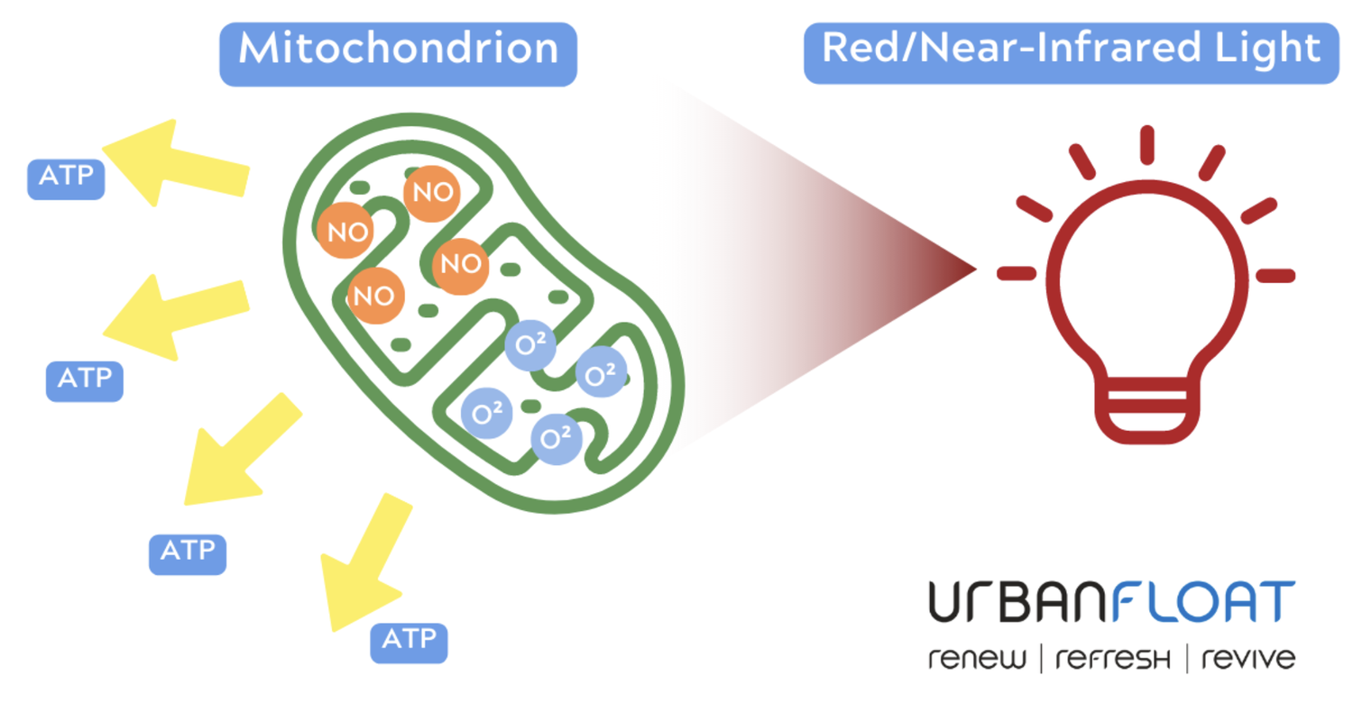 Red Light Therapy Benefits How Red Light Therapy Works Urban Float
