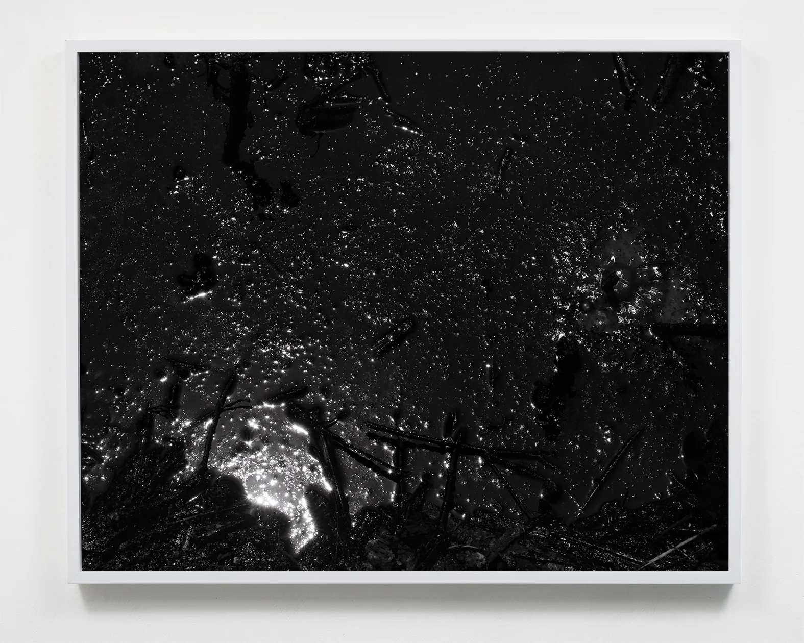 Destructive Distillation (Tar Cosmos), 22.5 x 27.5, Selenium toned silver gelatin print, 2018. 