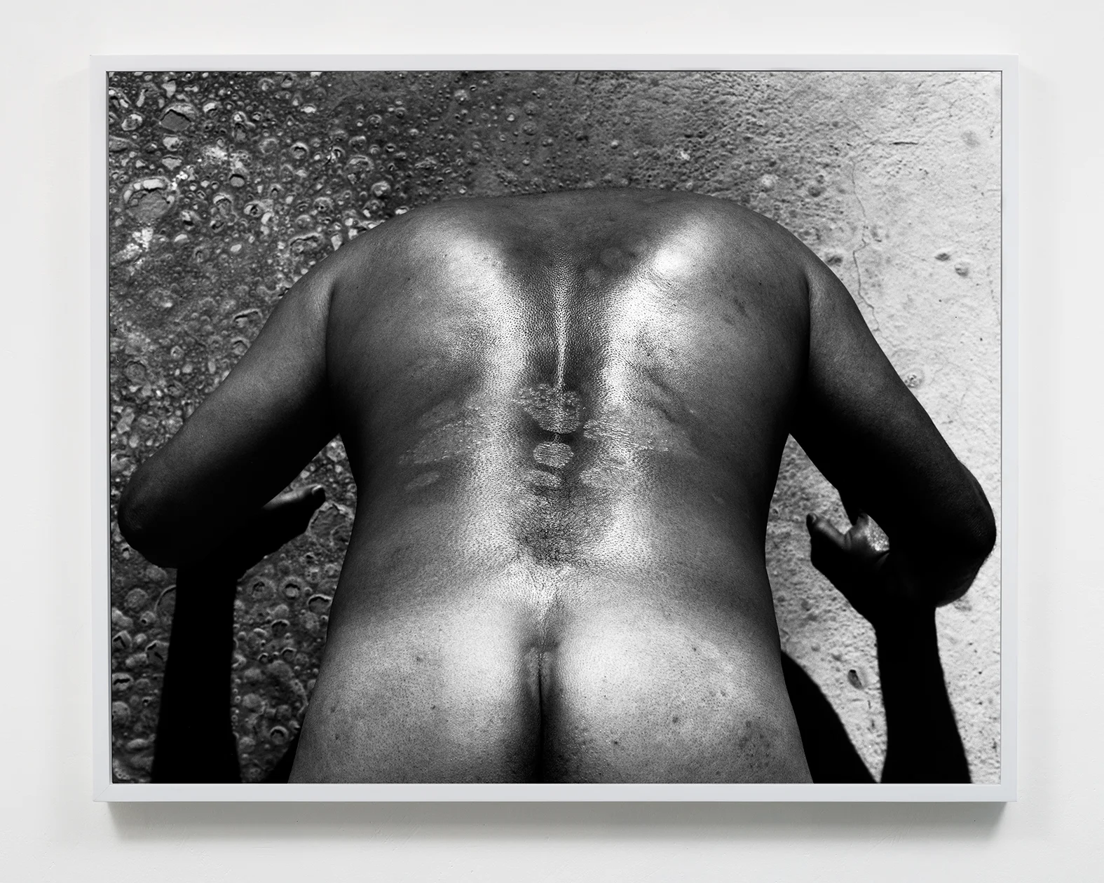Eros (and Erosion), 22.5 x 27.5, Selenium toned silver gelatin print, 2018. 