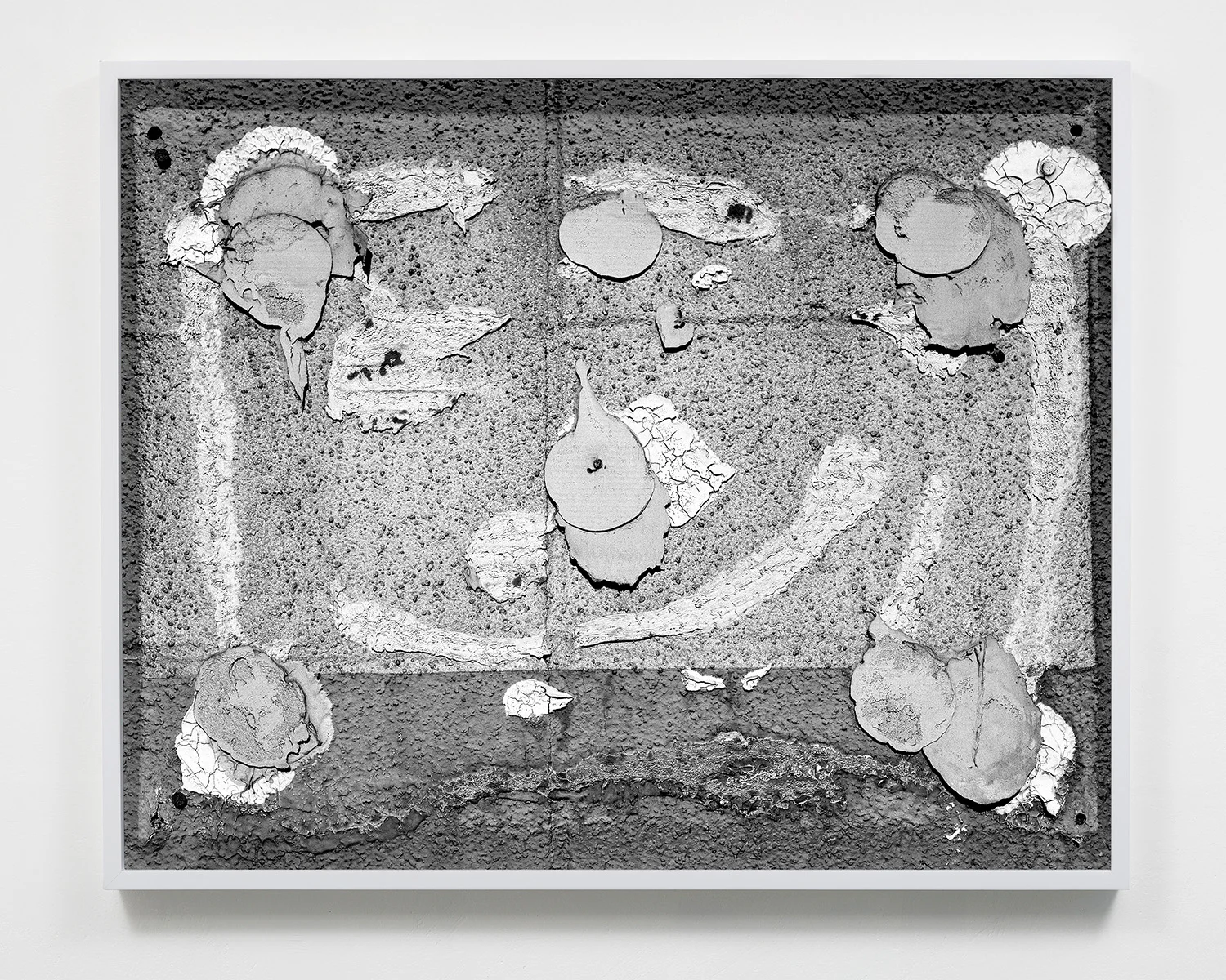 "Removal 2" , 40x50, Archival Pigment print, 2015