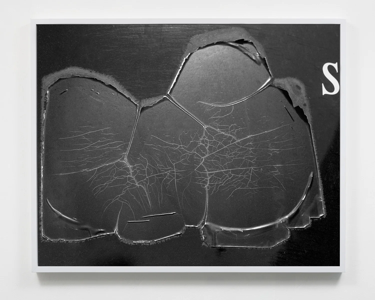 "S" , Archival Pigment print, 2016