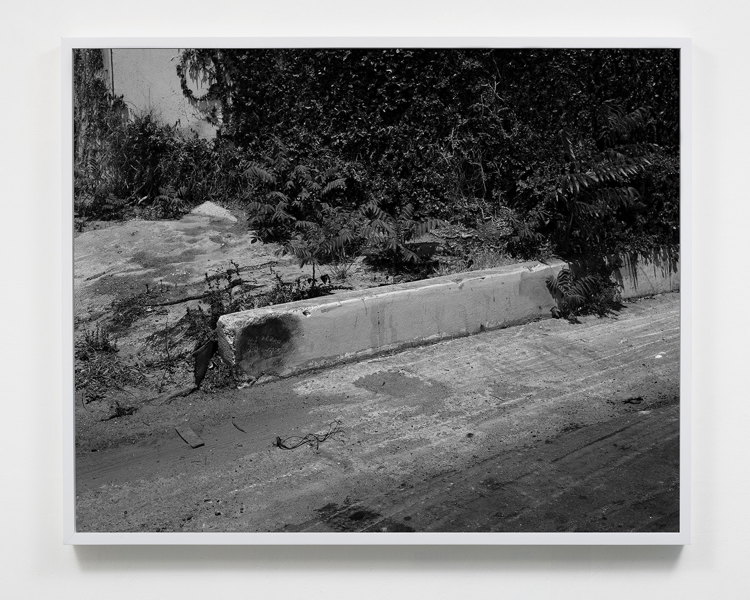 Untitled, 48 x 60, Gelatin silver print, 2015