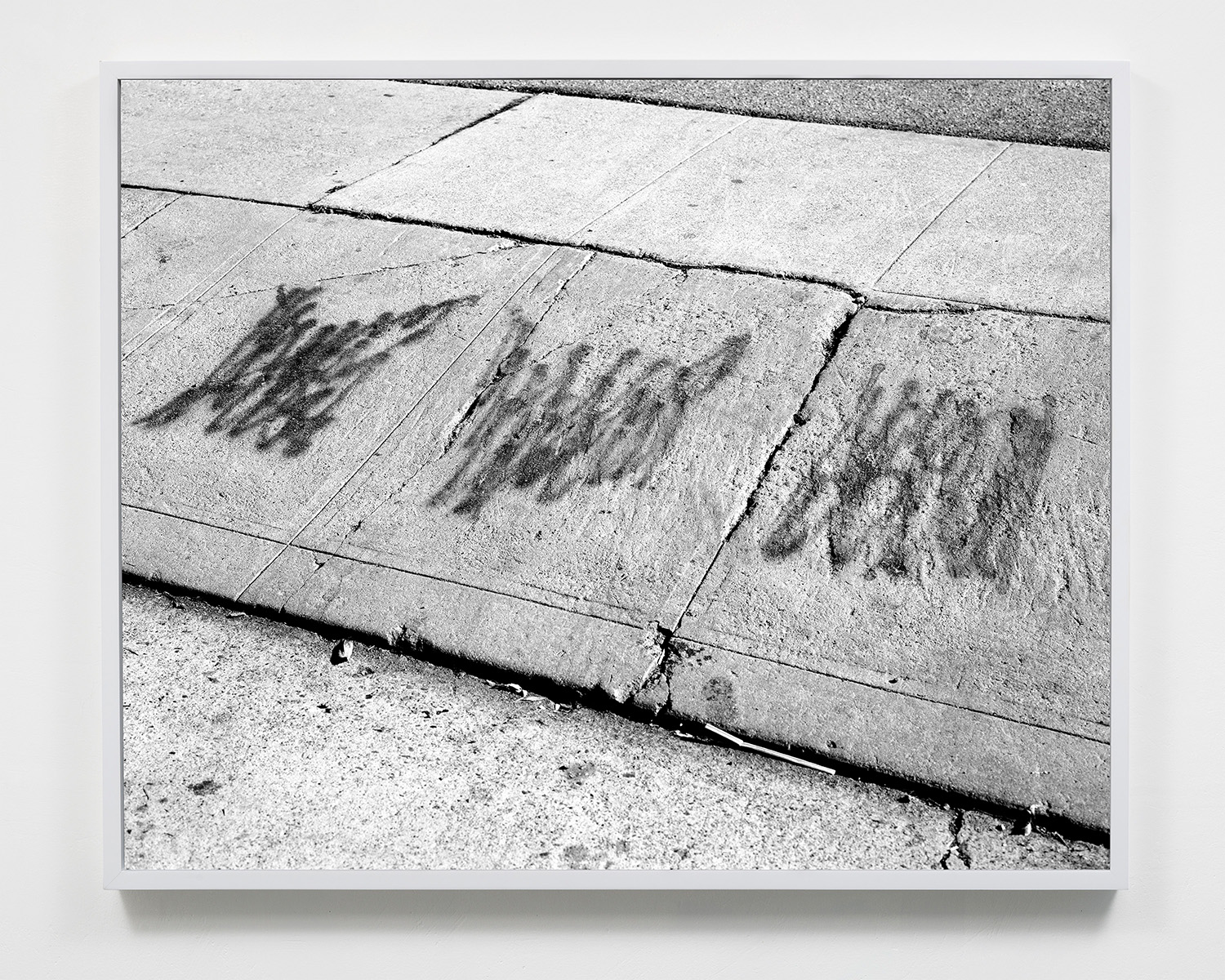 Untitled , 24 x 30, Gelatin silver print, 2016