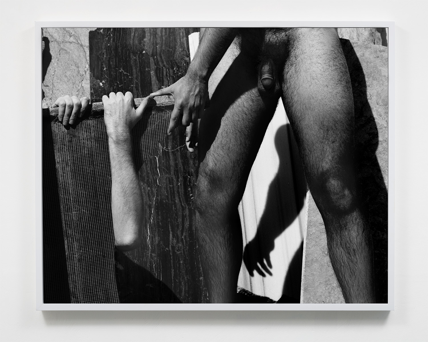 Untitled , Gelatin silver print, 2019