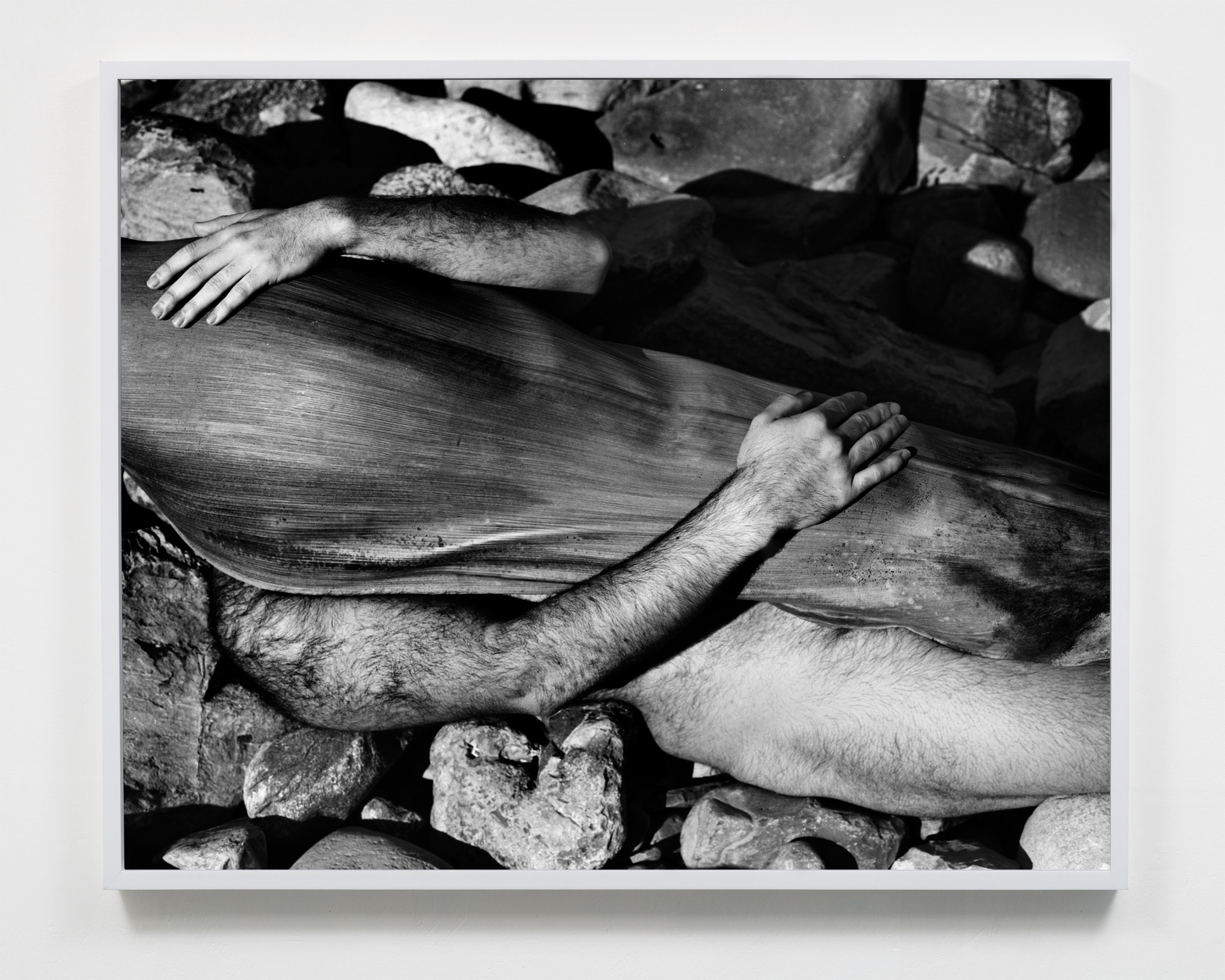 Untitled , Gelatin silver print, 2019