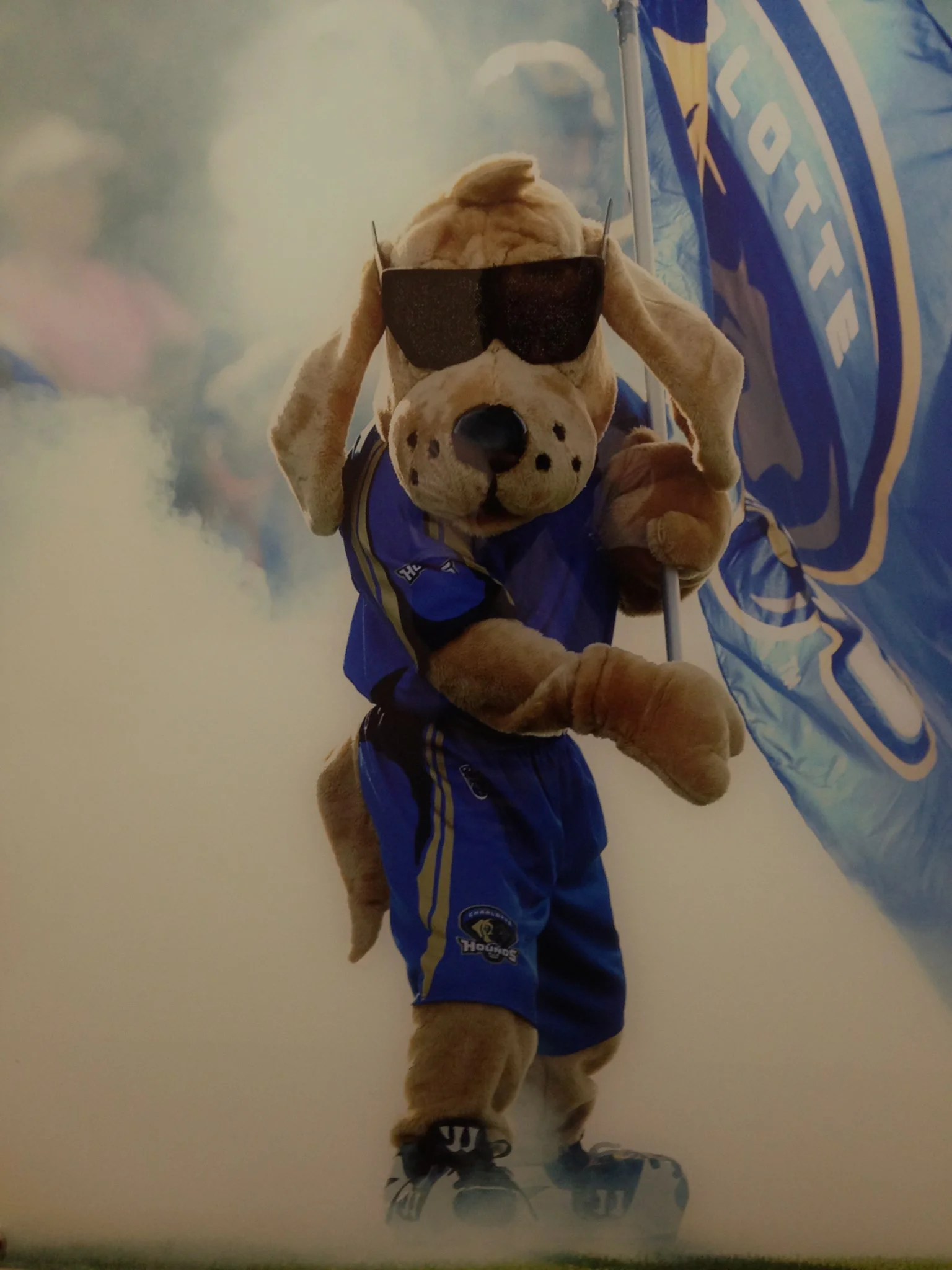 Mascot30percent.jpg