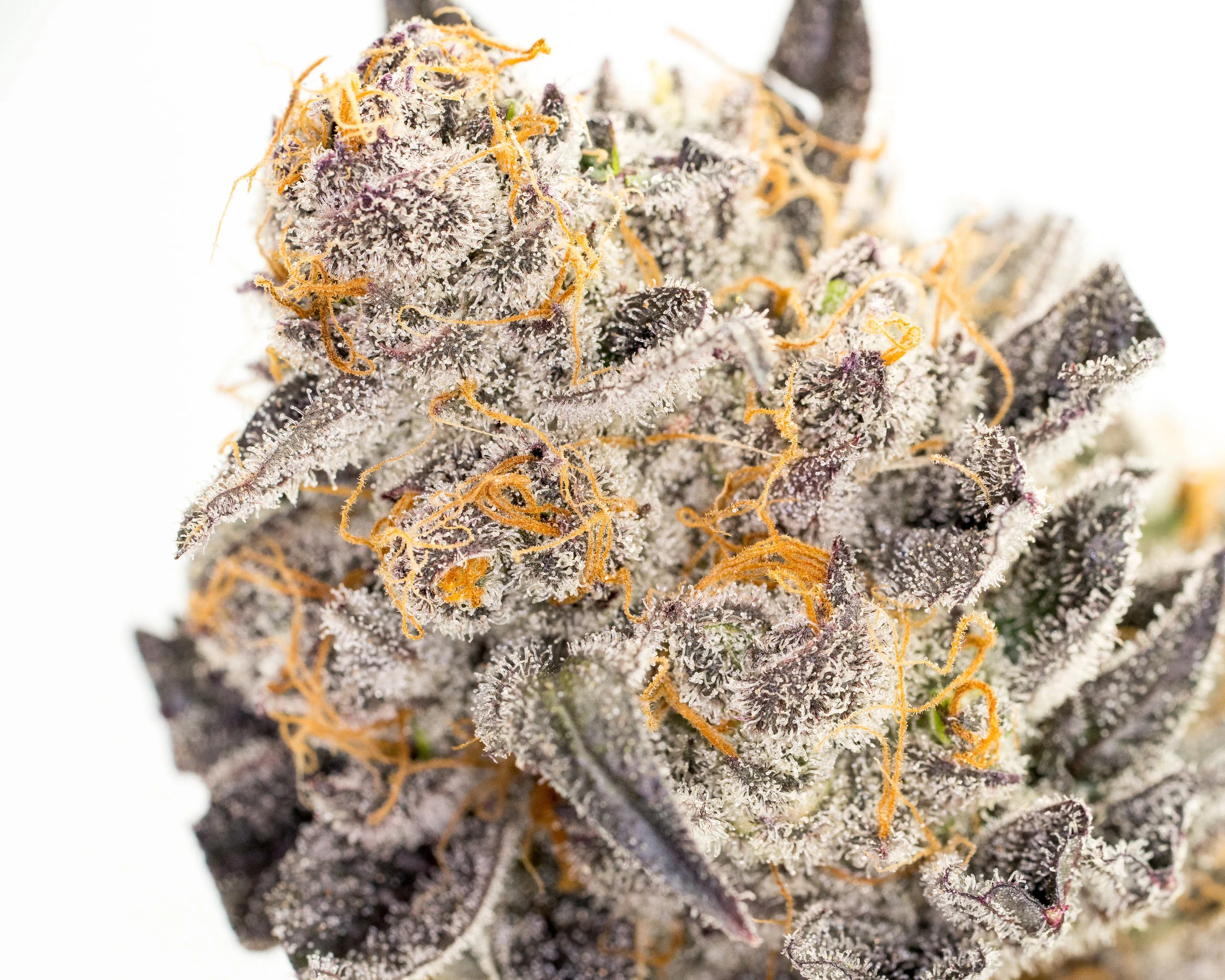 Merry Berry Kush (2 of 1).jpg
