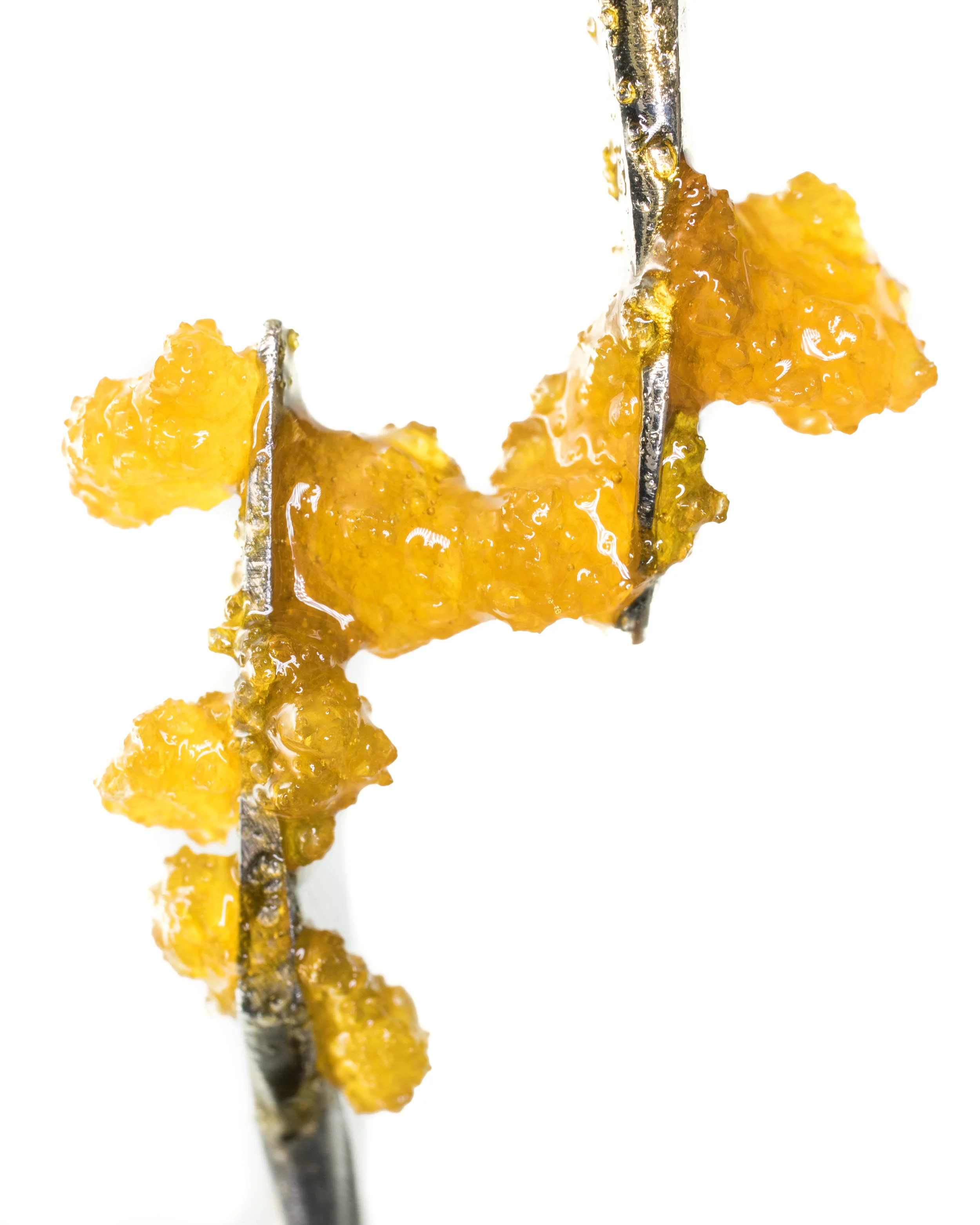 Craft Panacea Sour Diesel LR-12.jpg