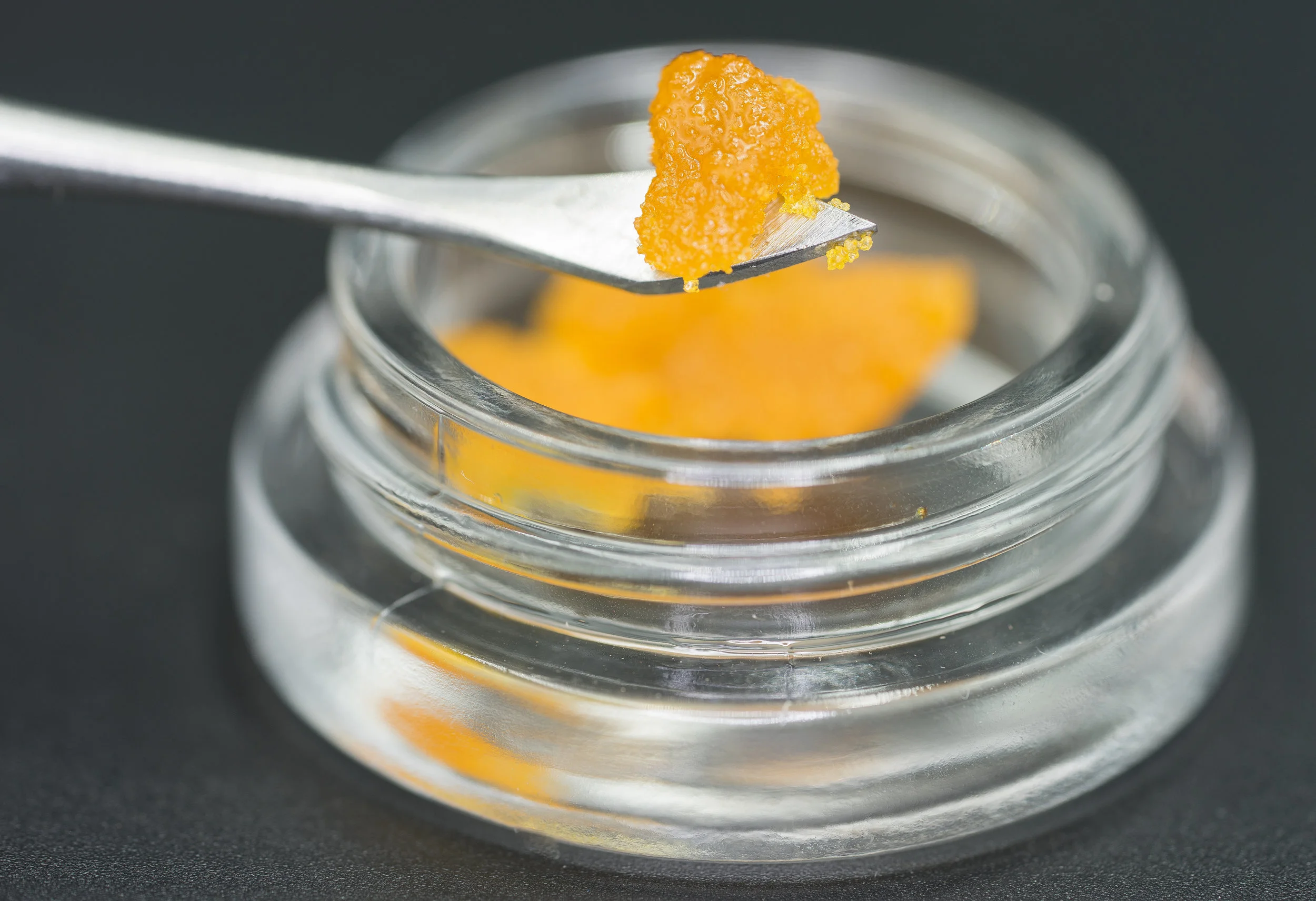 NTOG Sugar H010217.6 (5 of 1).jpg