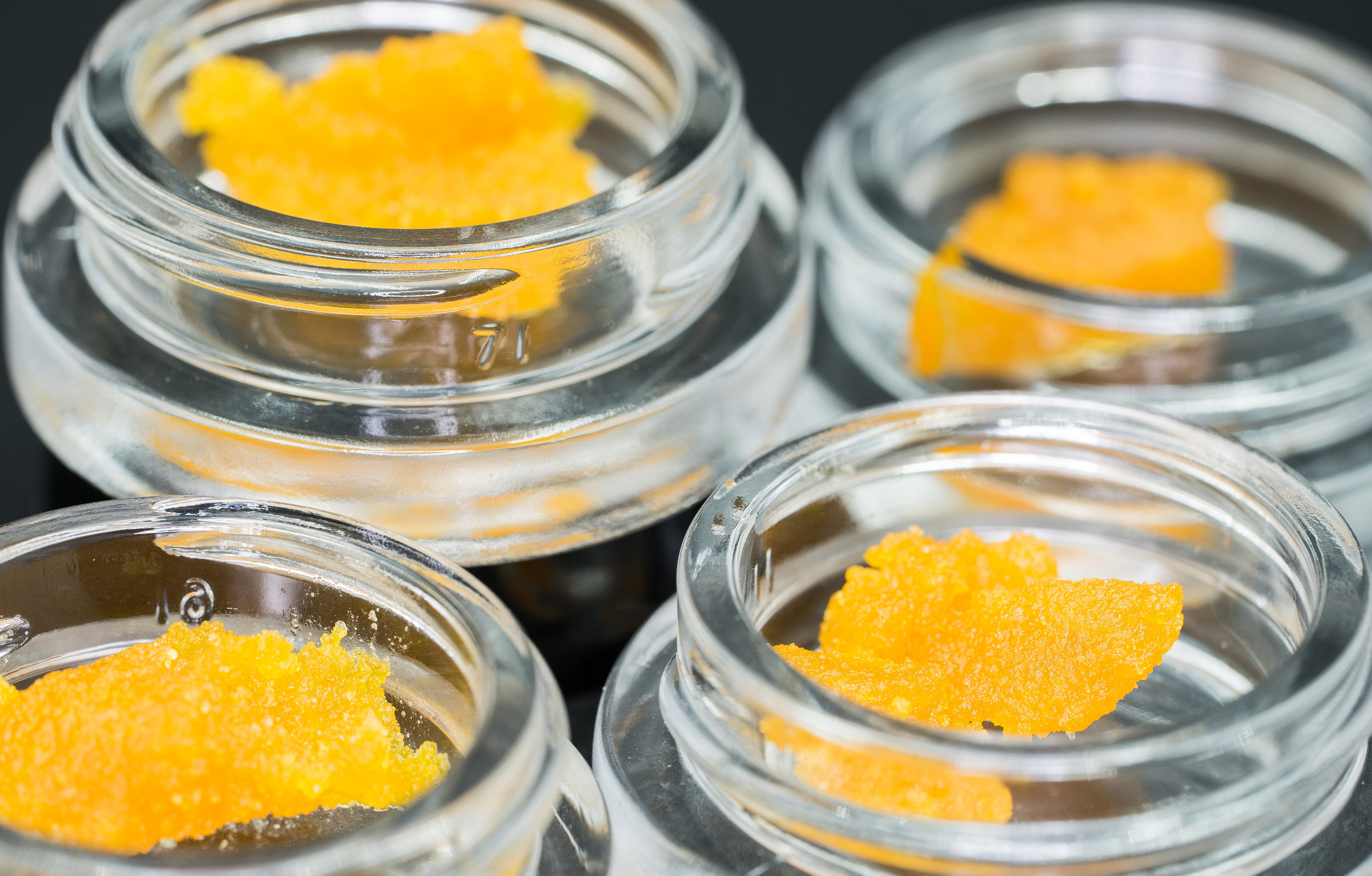 NTOG Sugar H010217.6 (3 of 1).jpg