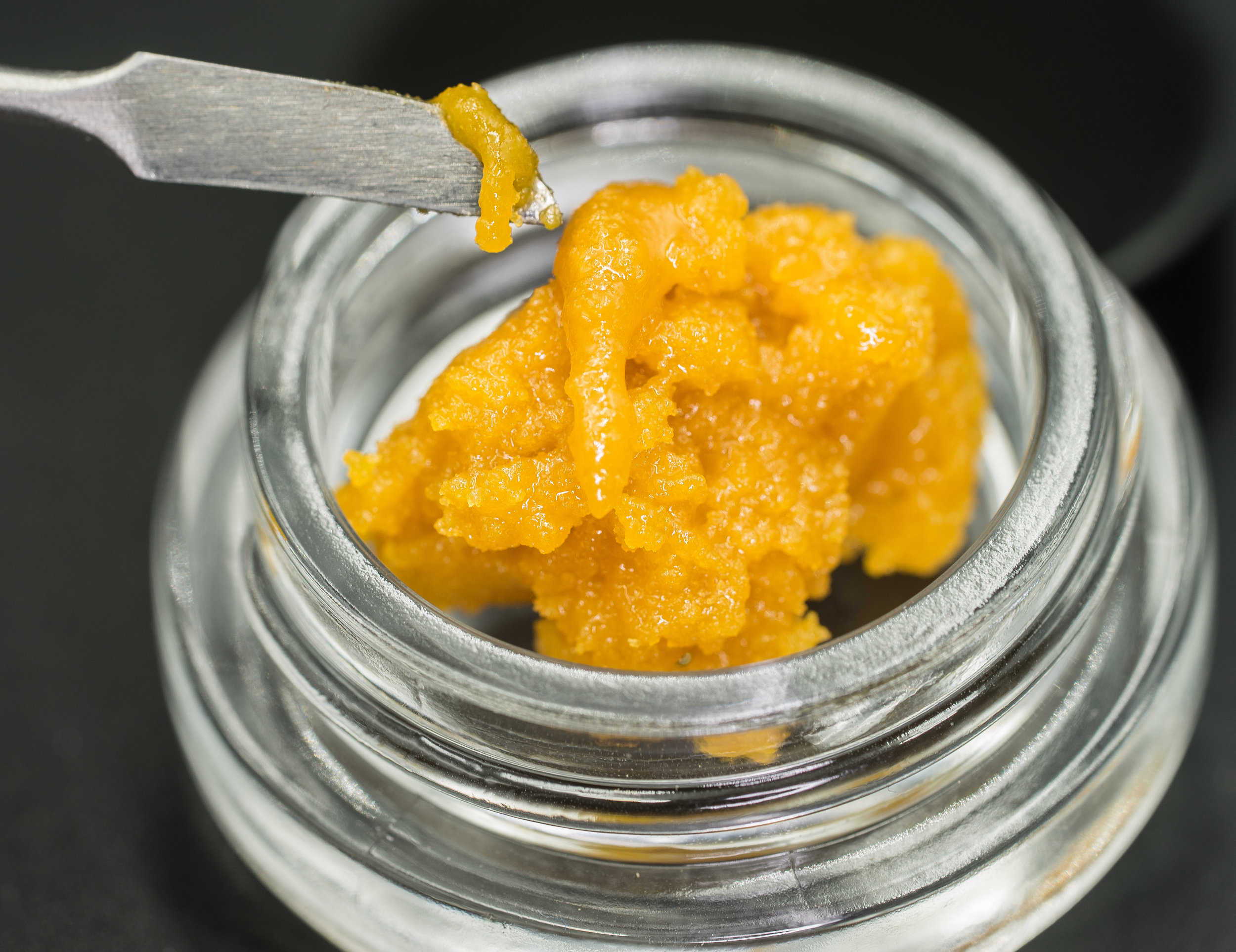 WDF Sugar  (1 of 1).jpg