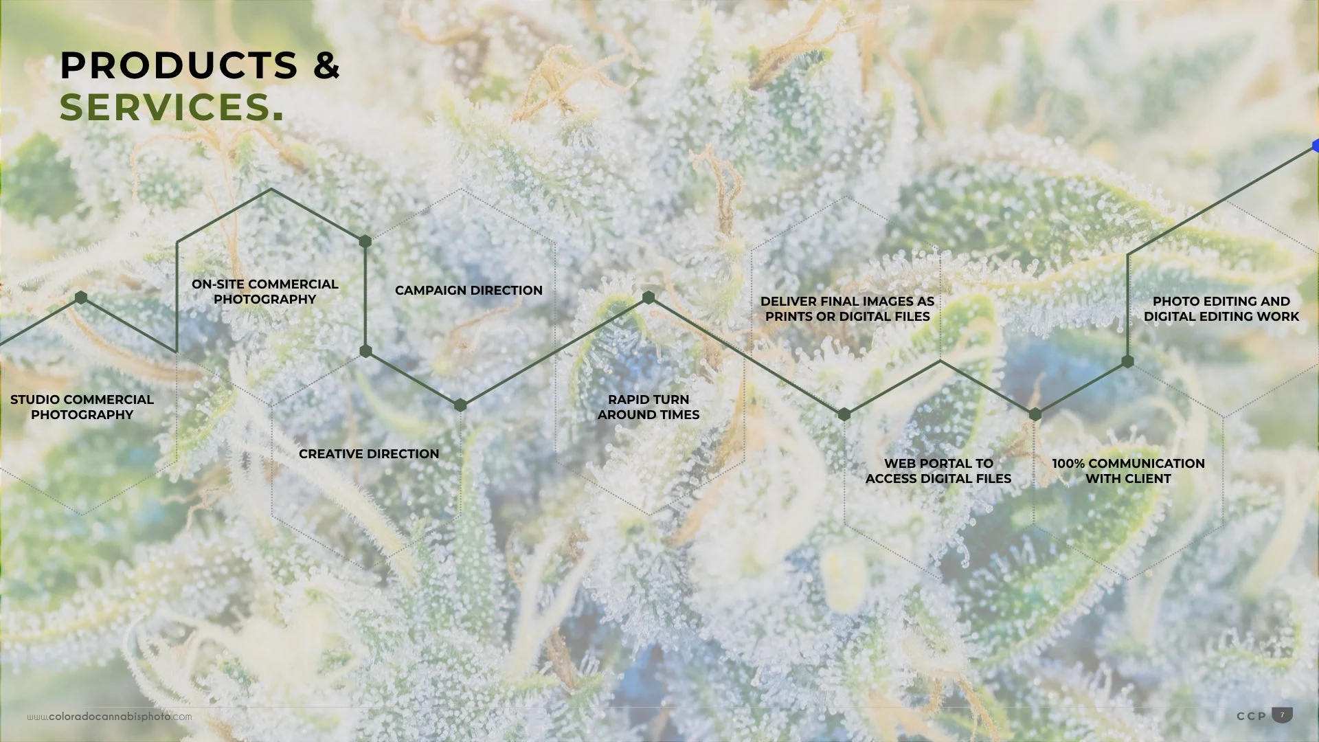 Colorado CannabisPhoto FINALImages.008.jpeg