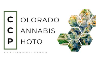 Colorado Cannabis Photo