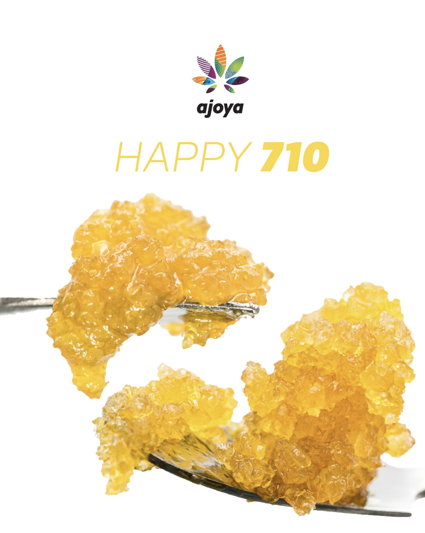 AJOYA CANNABIS | PHOTOGRAPHY BY F. SPONTELLI, FRANKIEBOY PHOTOGRAPHY LLC