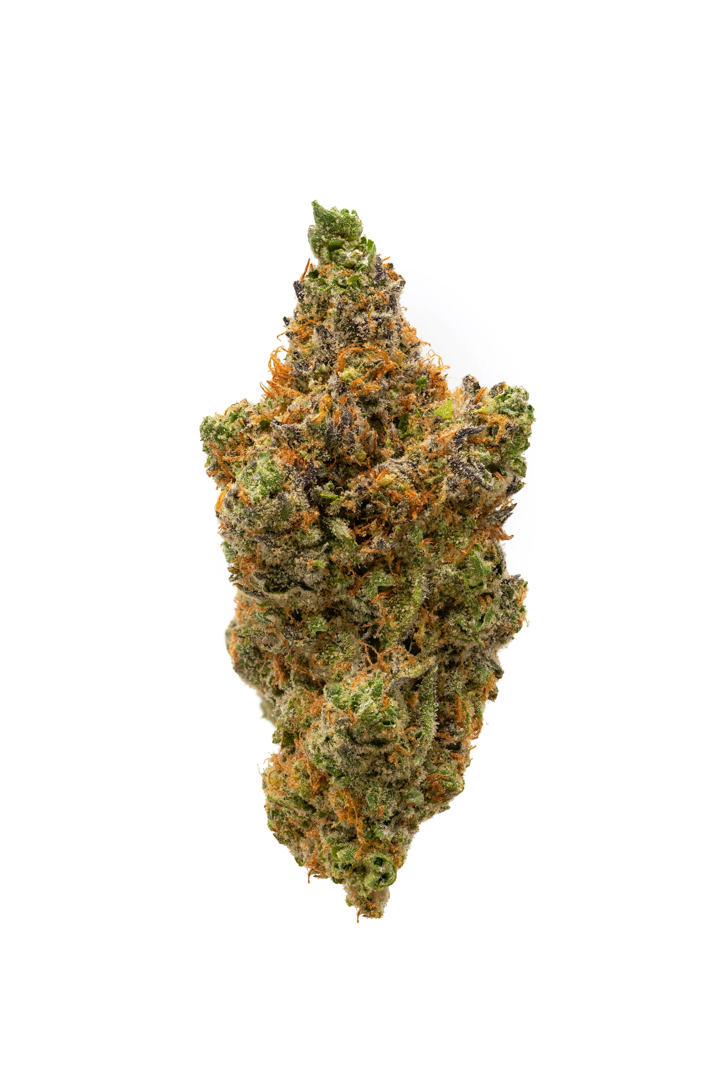 Grape Ape-25.jpg